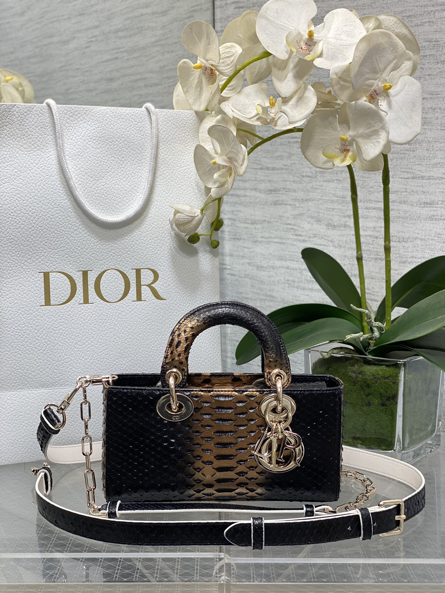 𝐋𝐚𝐝𝐲横版𝟐𝟐𝐜𝐦cuero de serpiente medio oro
