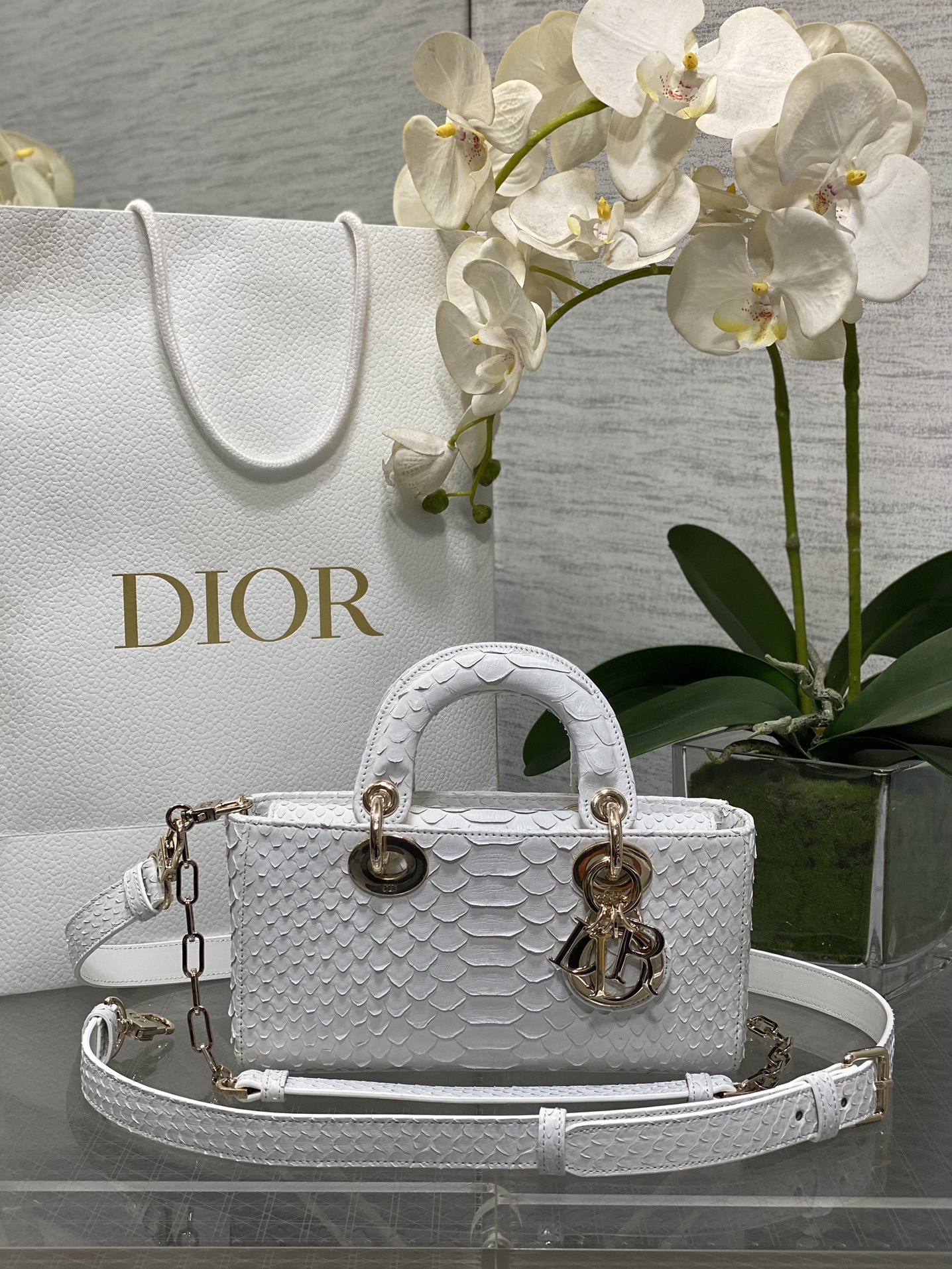 𝐋𝐚𝐝𝐲横版𝟐𝟐𝐜𝐦cuero de serpiente blanco