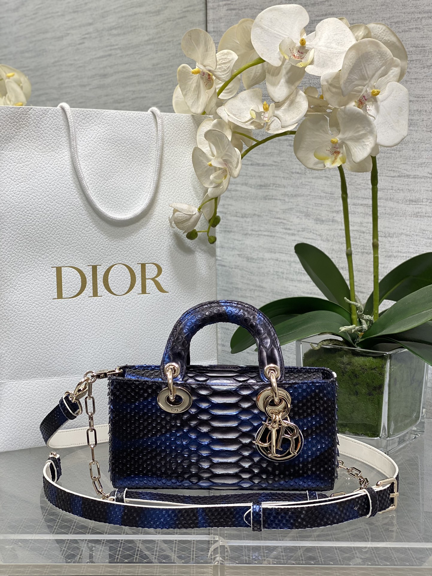 𝐋𝐚𝐝𝐲 horizontal 22cm azul iridiscente serpiente