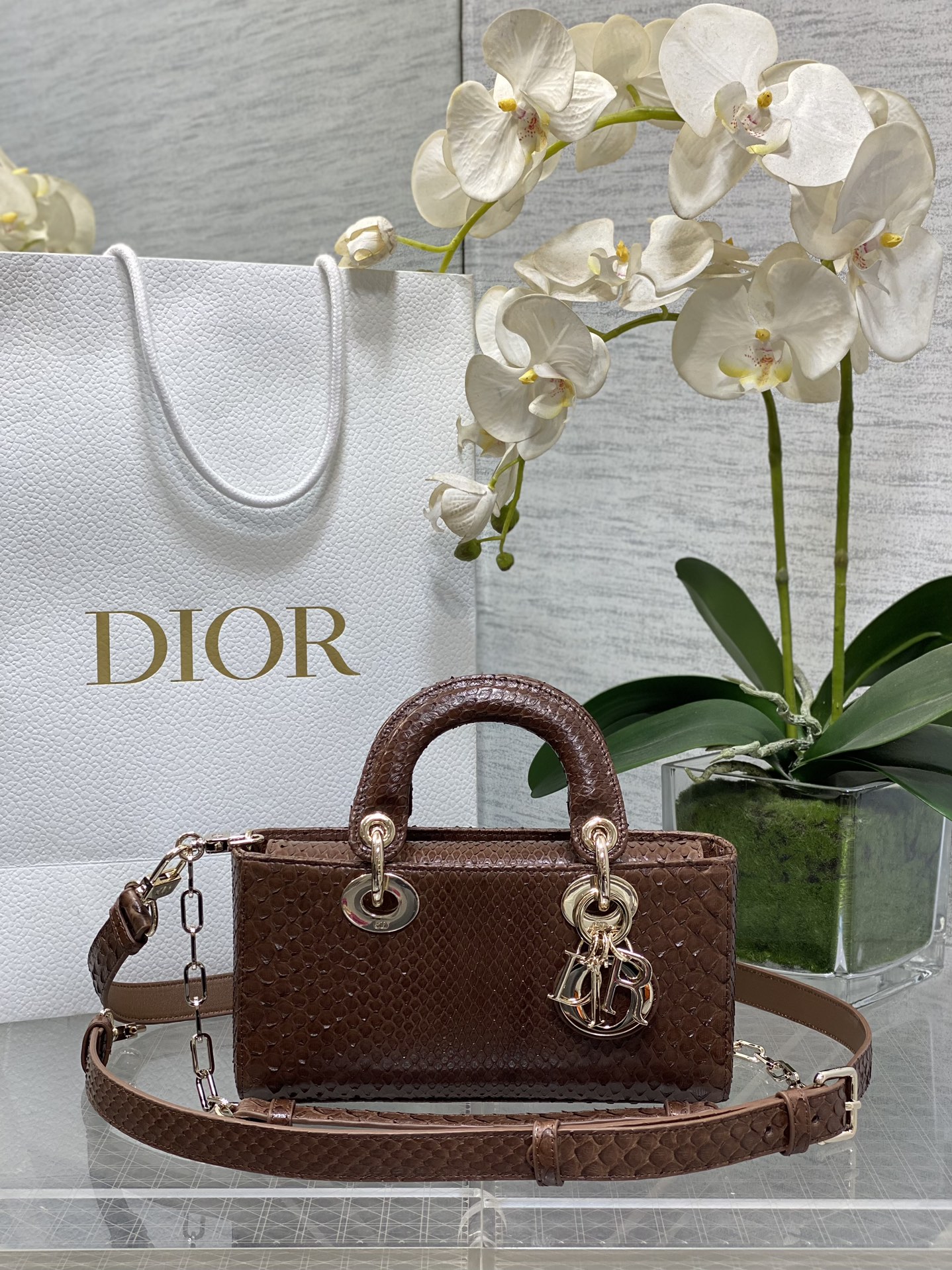 𝐋𝐚𝐝𝐲 horizontal 22cm marrón serpiente
