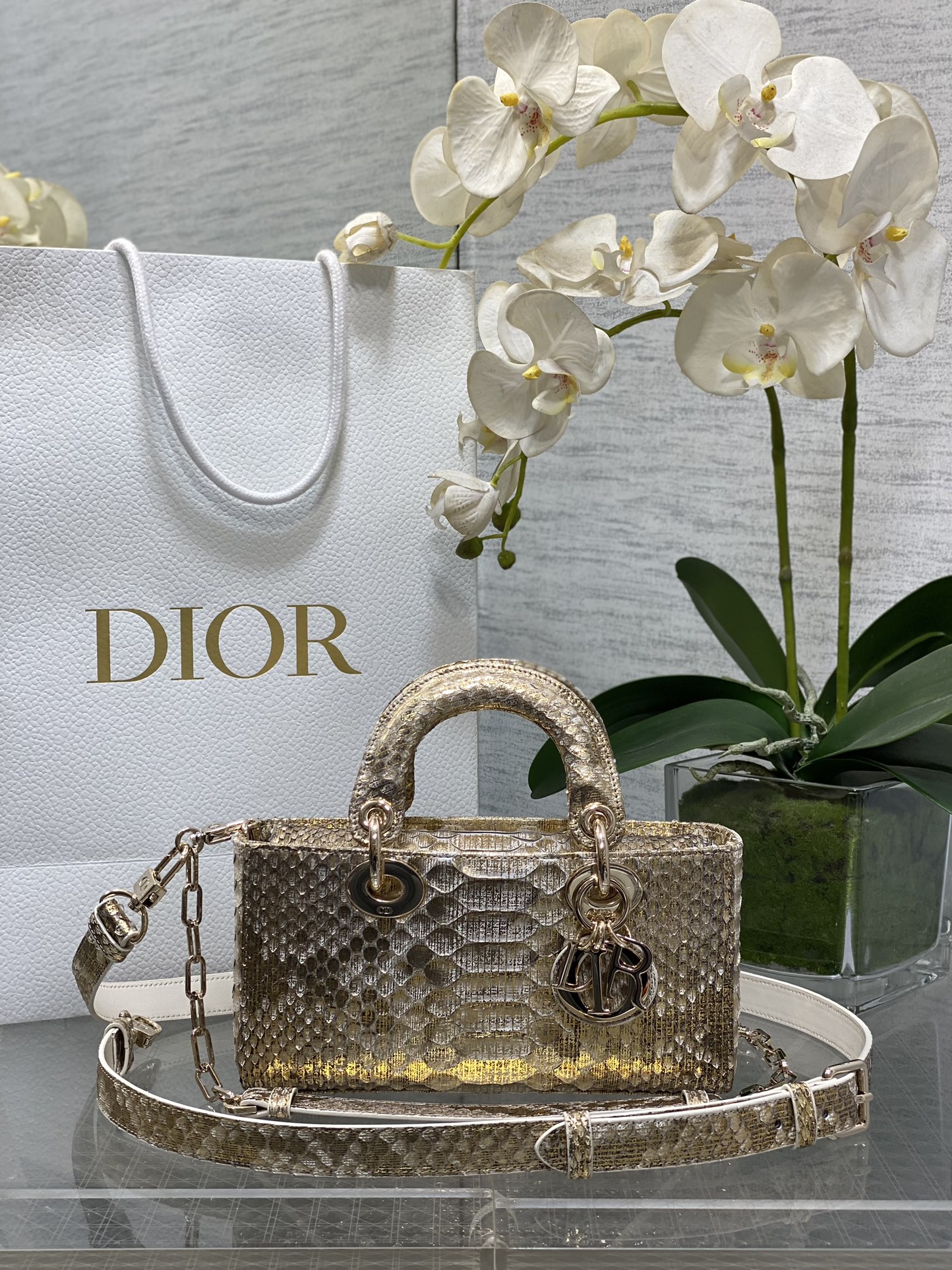 𝐋𝐚𝐝𝐲 horizontal 22cm textura de tela dorada serpiente