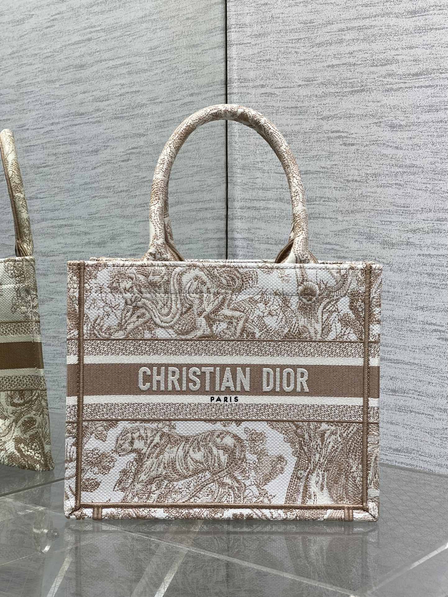 Dior Book Tote Petit Sac Cabas Brodé