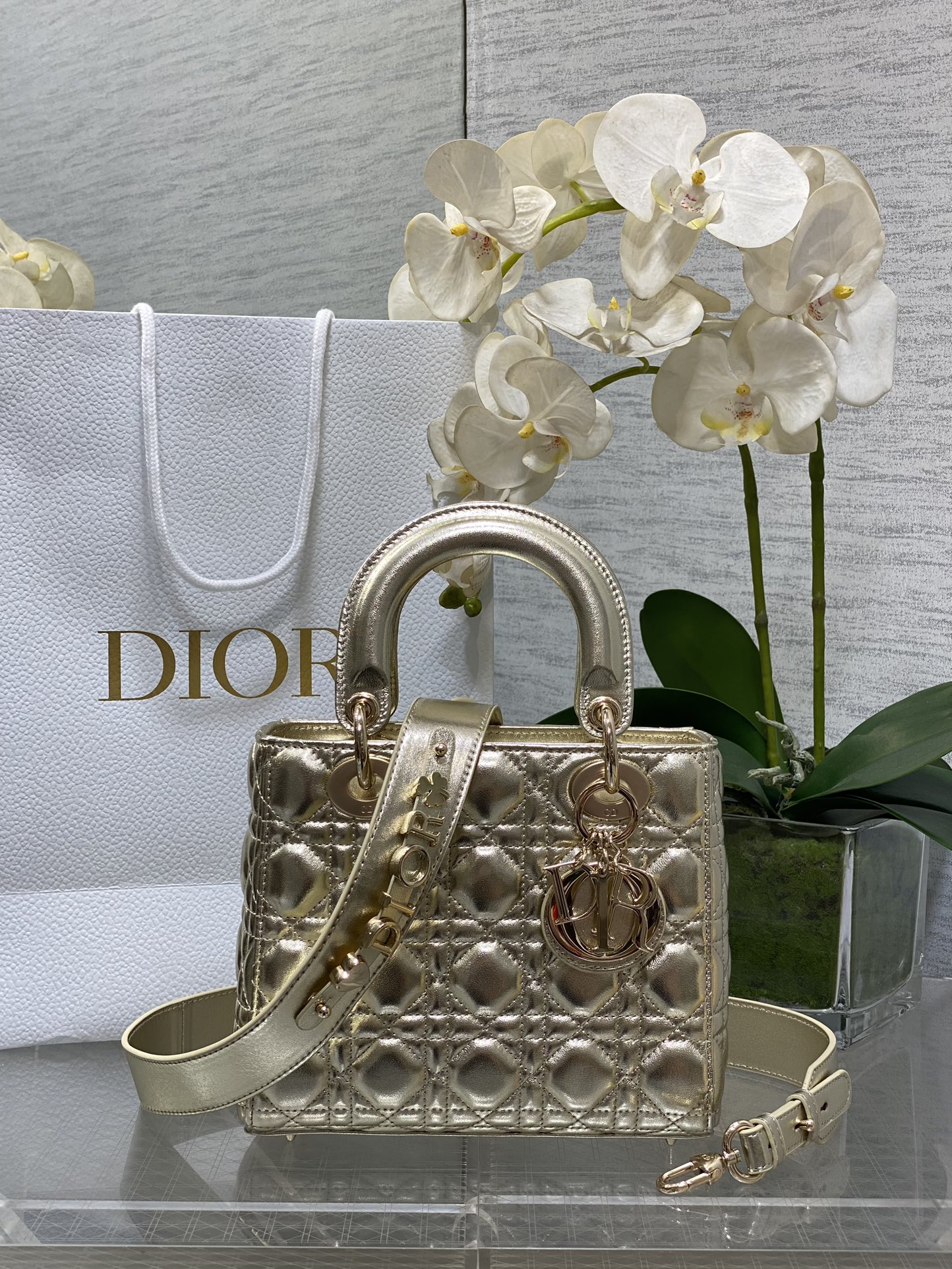 𝐋𝐚𝐝𝐲Cuatro cuadros de piel de oveja color champán dorado