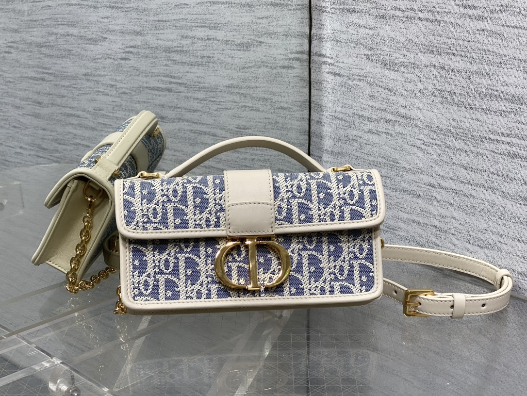 Dior Style Chain Bag Lookbook Reference image 1
