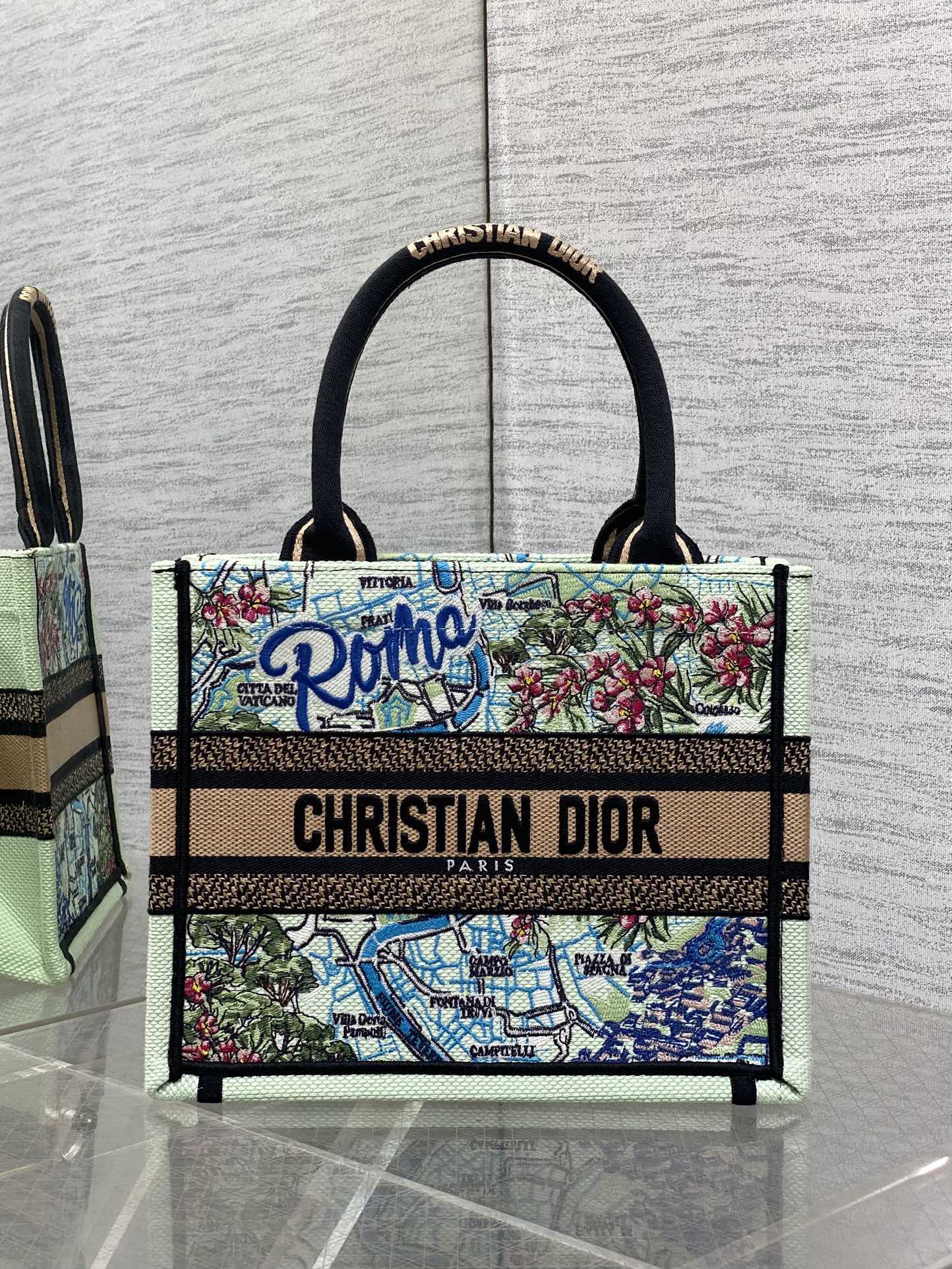 Dior Book Tote Small: Roma Print, Embroidered Canvas, Perfect for Daily Use