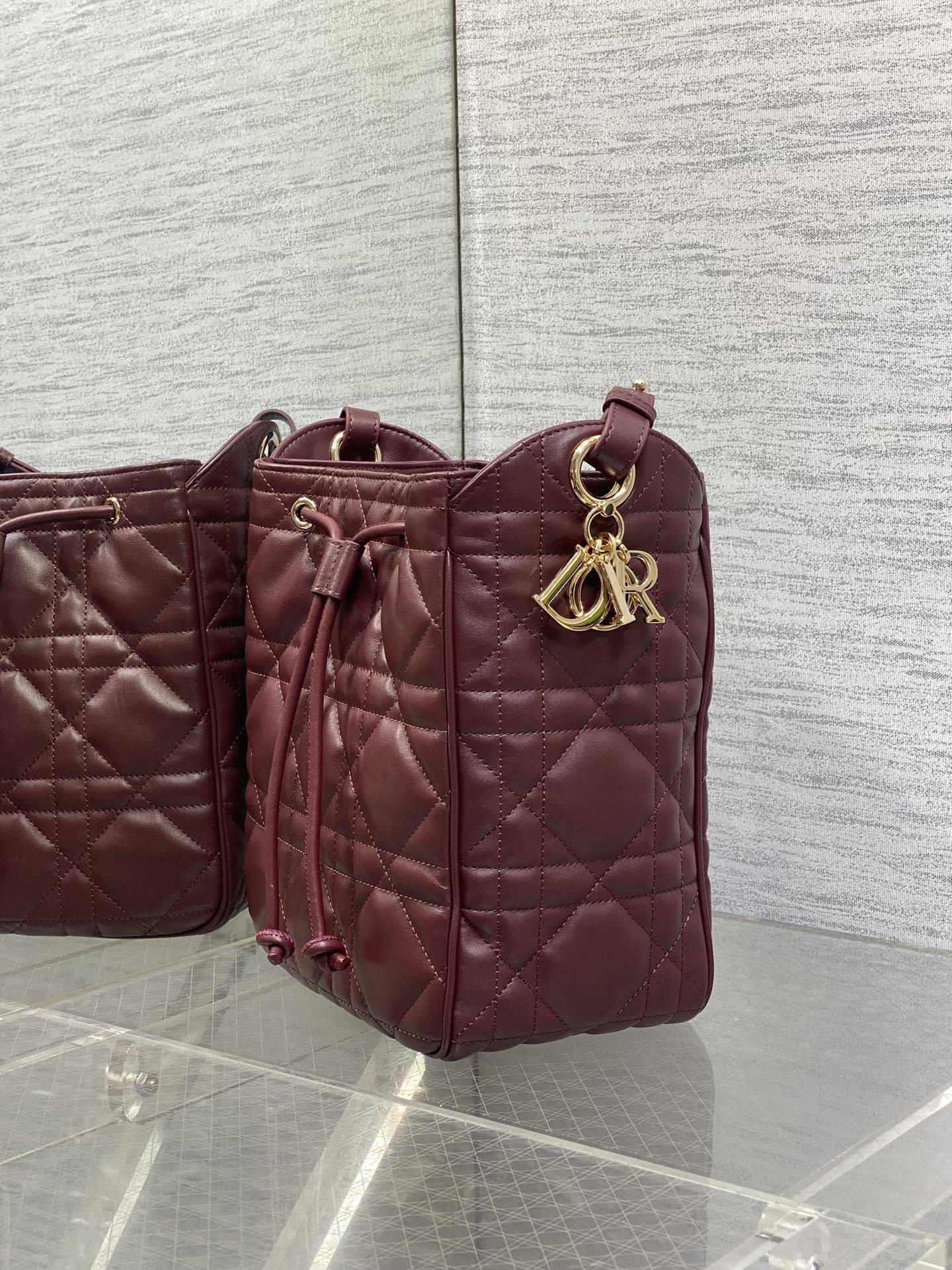 枣红中号现货‼️Caro水桶包Motion系列,新款美包又上新了,进口小羊皮精心制作,精湛的工艺,经典的