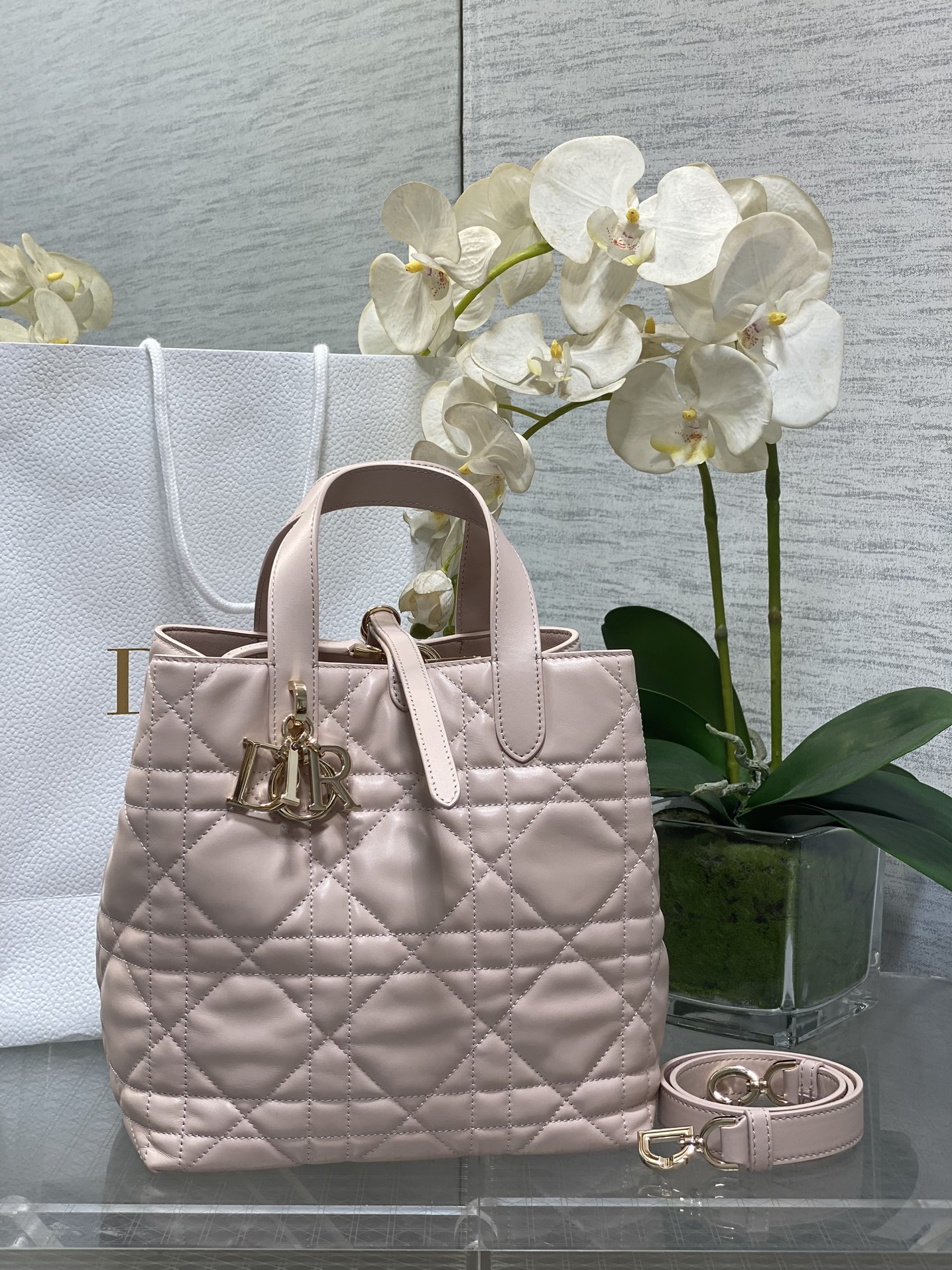 Dior Toujours Pink tote everyday