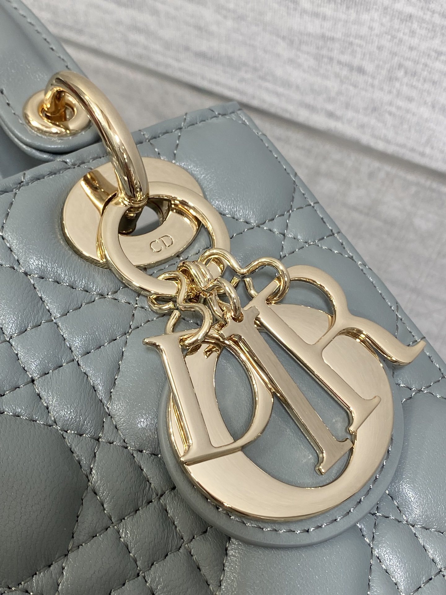 现货‼️Lady戴妃四格系列,经典的包形,甜美又不失优雅,春夏最新颜色,小清新风格🆕,搭配最新的字母肩带