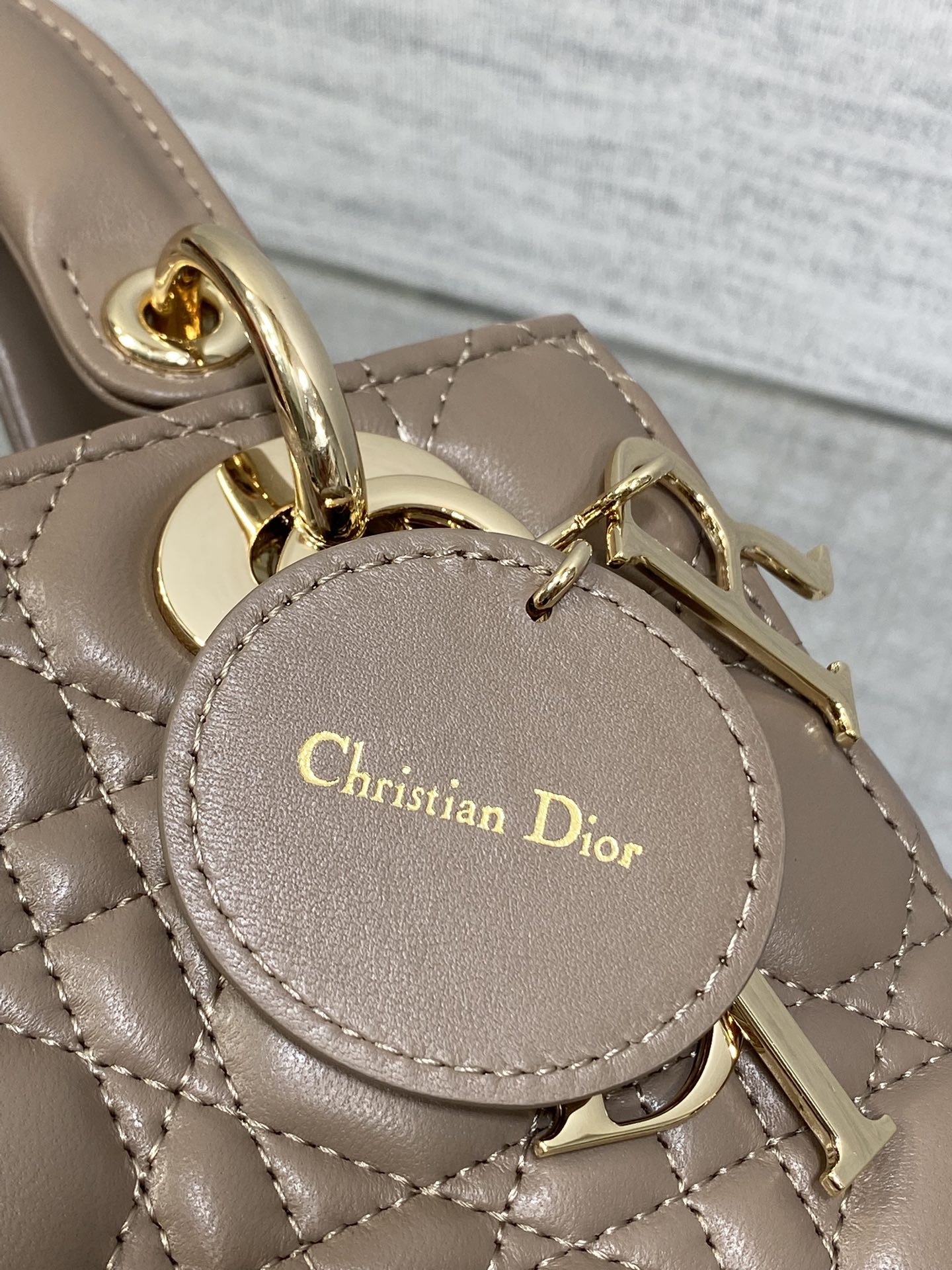 Dior Lady Dior Bag: Iconic Design, Fresh Spring Colors & Customizable Strap 5 i1755074695 4309 7