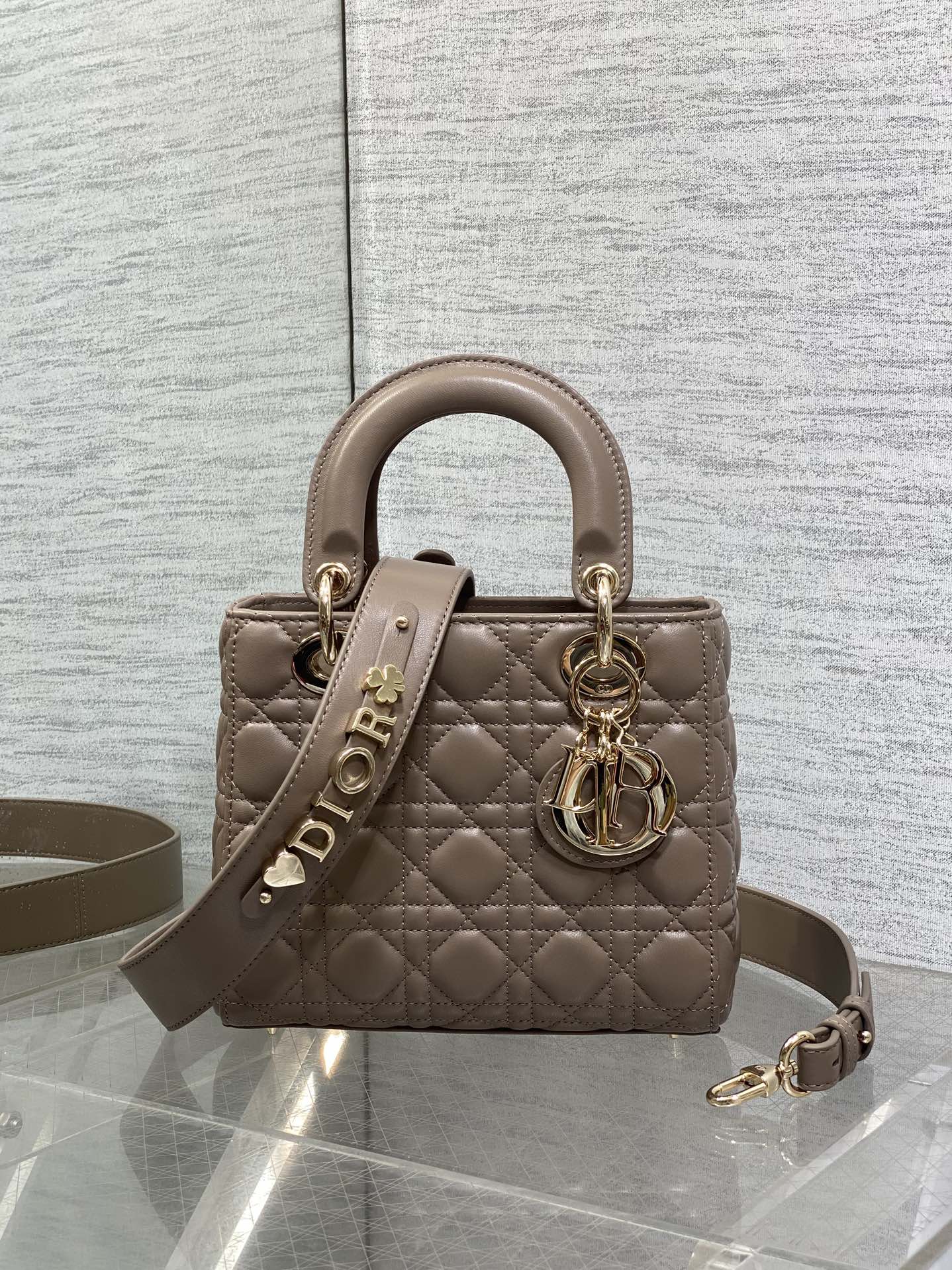 Dior Lady Dior Bag: Iconic Design, Fresh Spring Colors & Customizable Strap 2 i1755074695 5939 6
