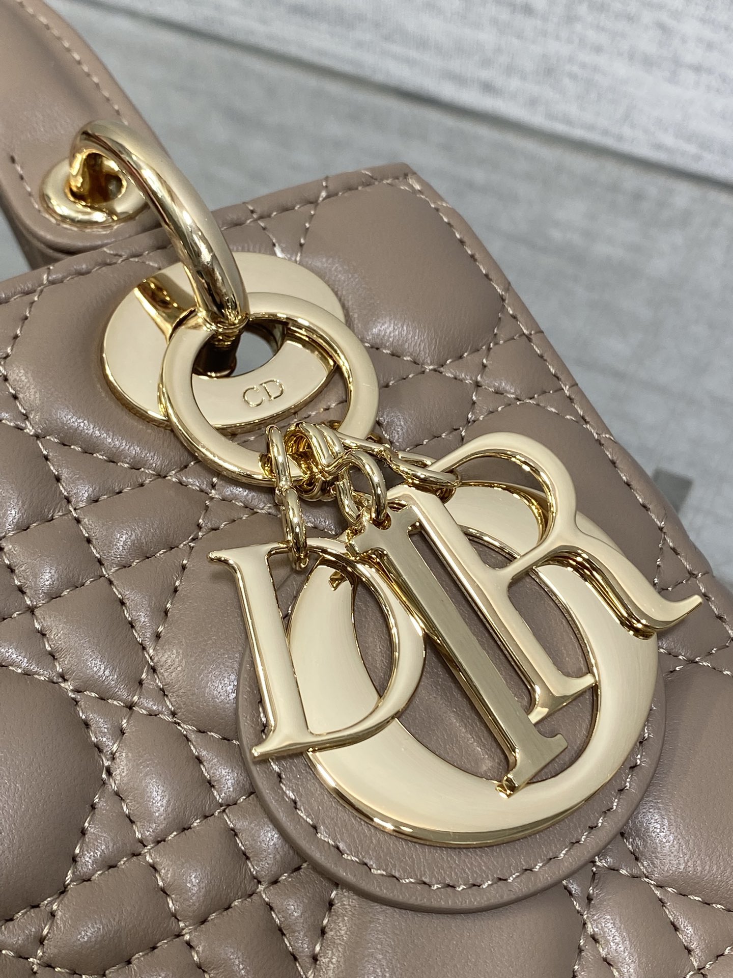 Dior Lady Dior Bag: Iconic Design, Fresh Spring Colors & Customizable Strap 4 i1755074695 8701 8