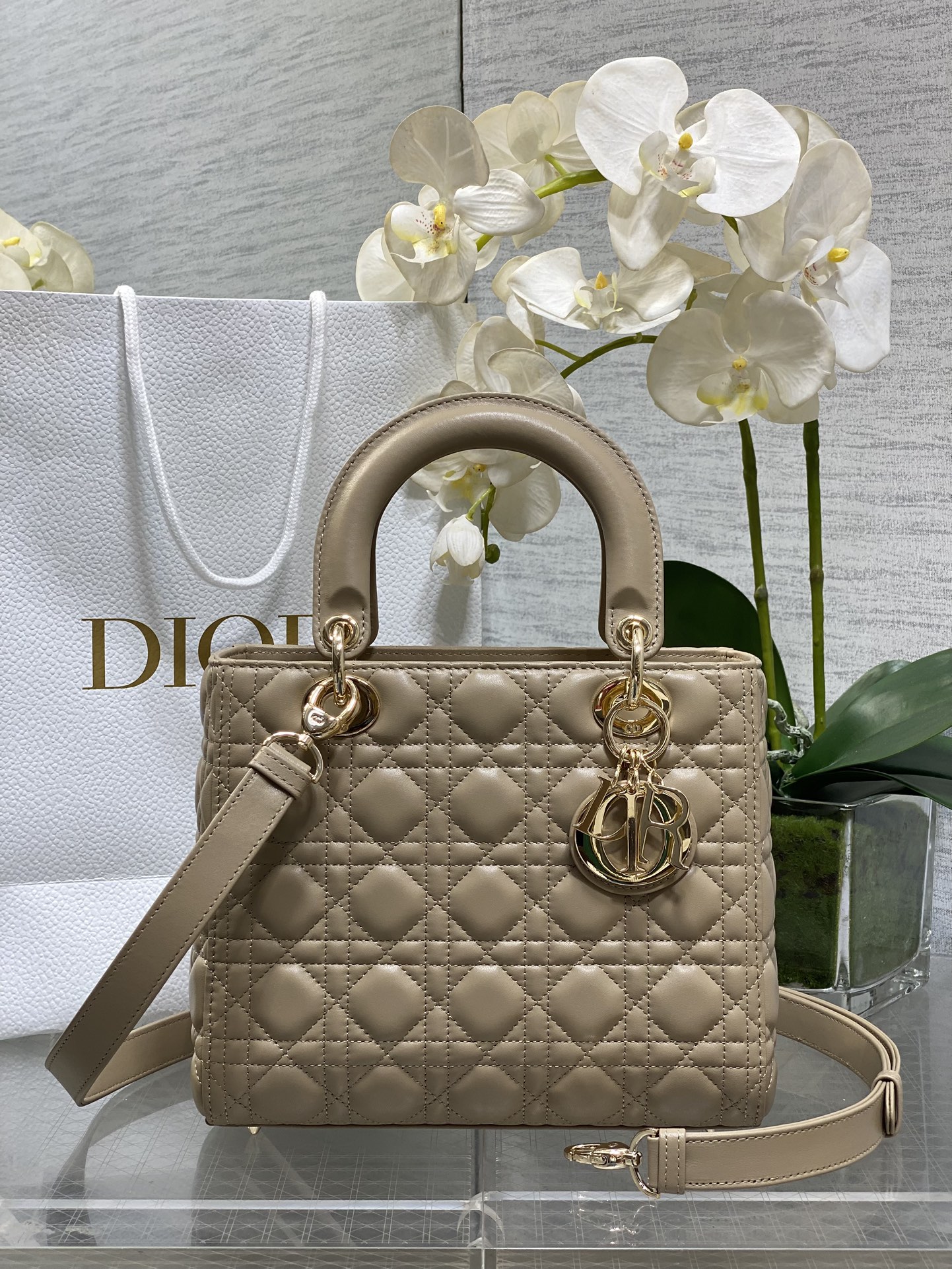 𝐋𝐚𝐝𝐲Color del té con leche de cinco rejillas