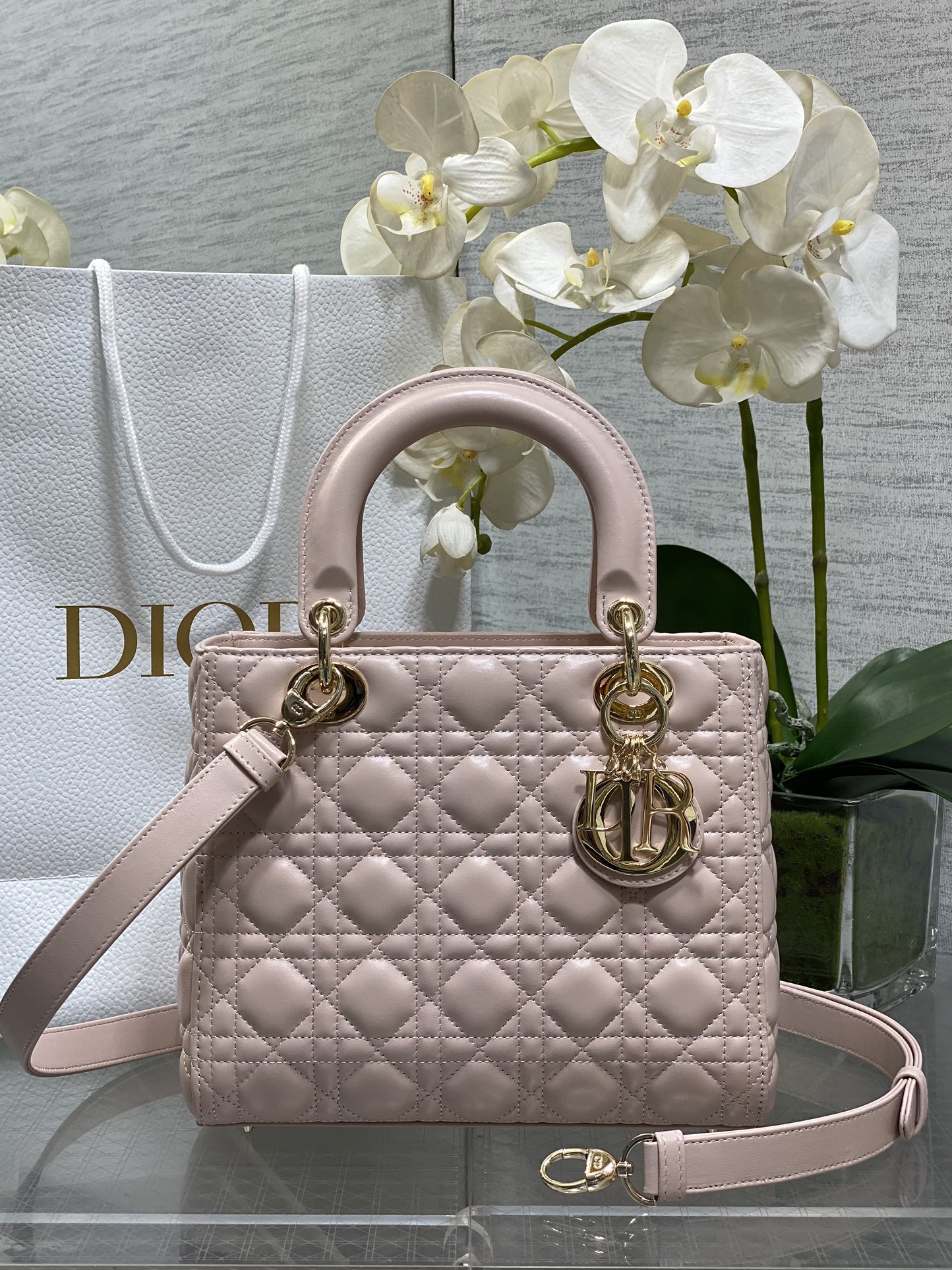 𝐋𝐚𝐝𝐲Polvo colorete de cinco rejillas