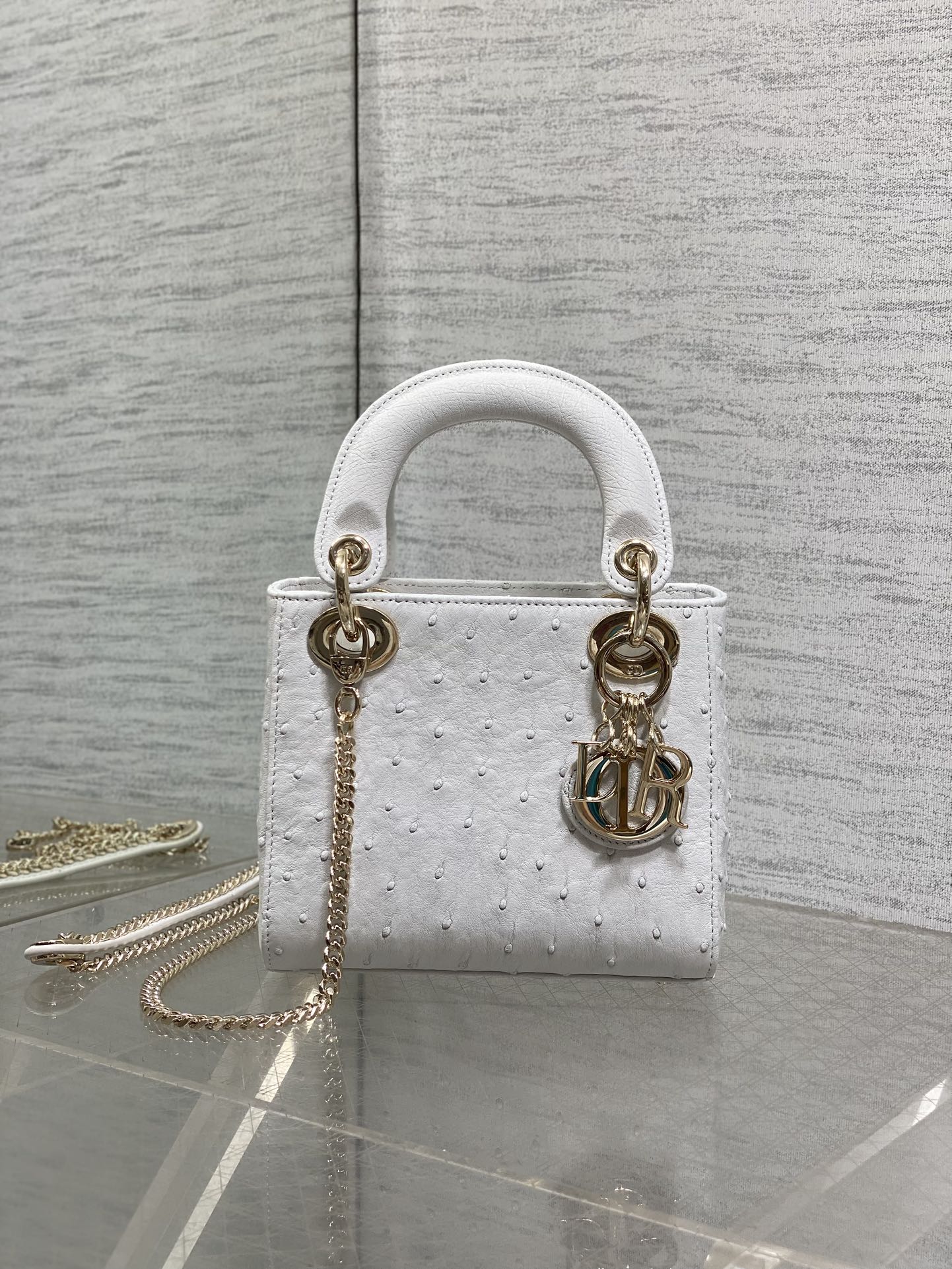 Dior Style Leather Bag Lookbook Reference image 1