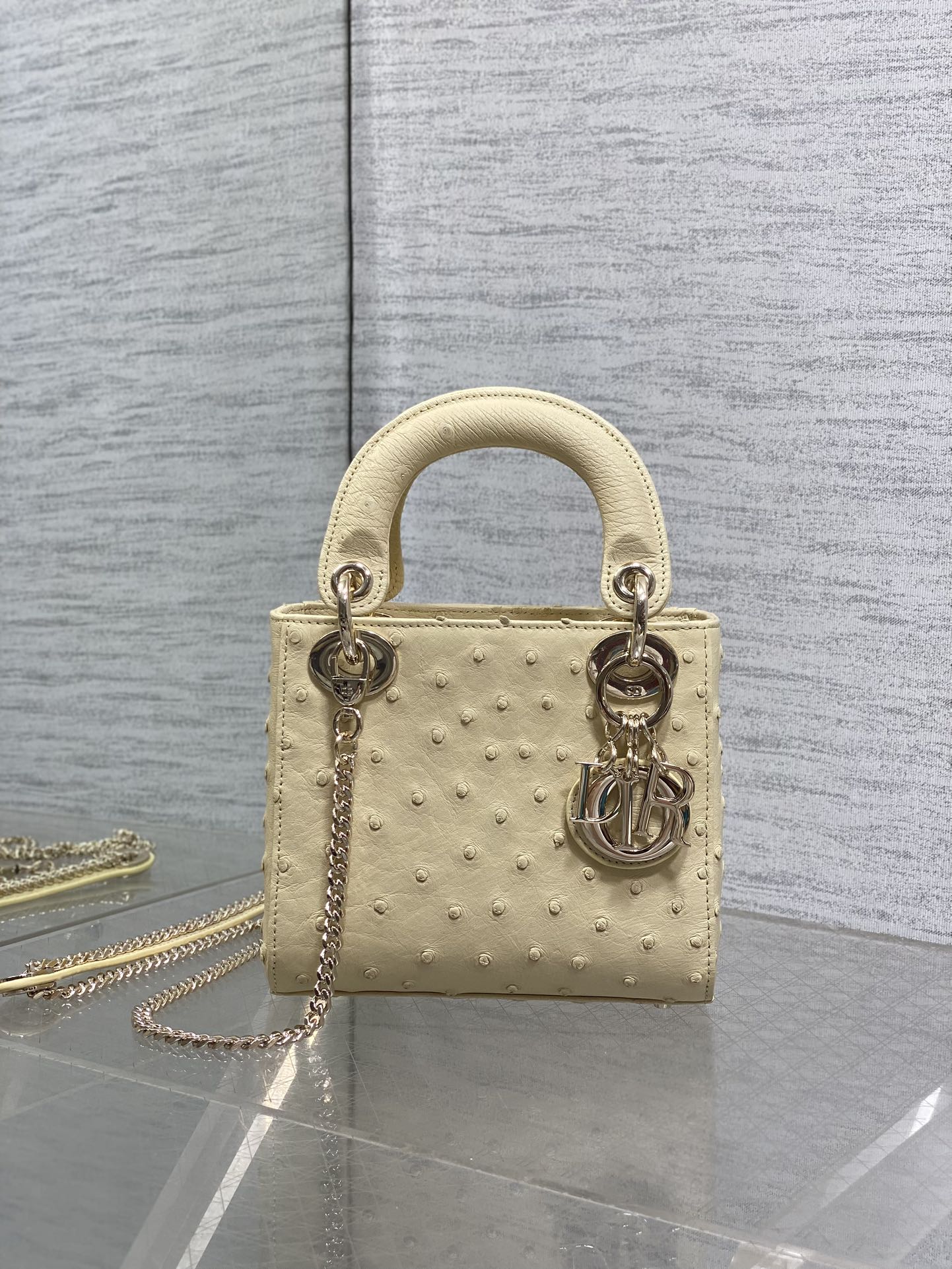 Dior Style Leather Bag Lookbook Reference image 1