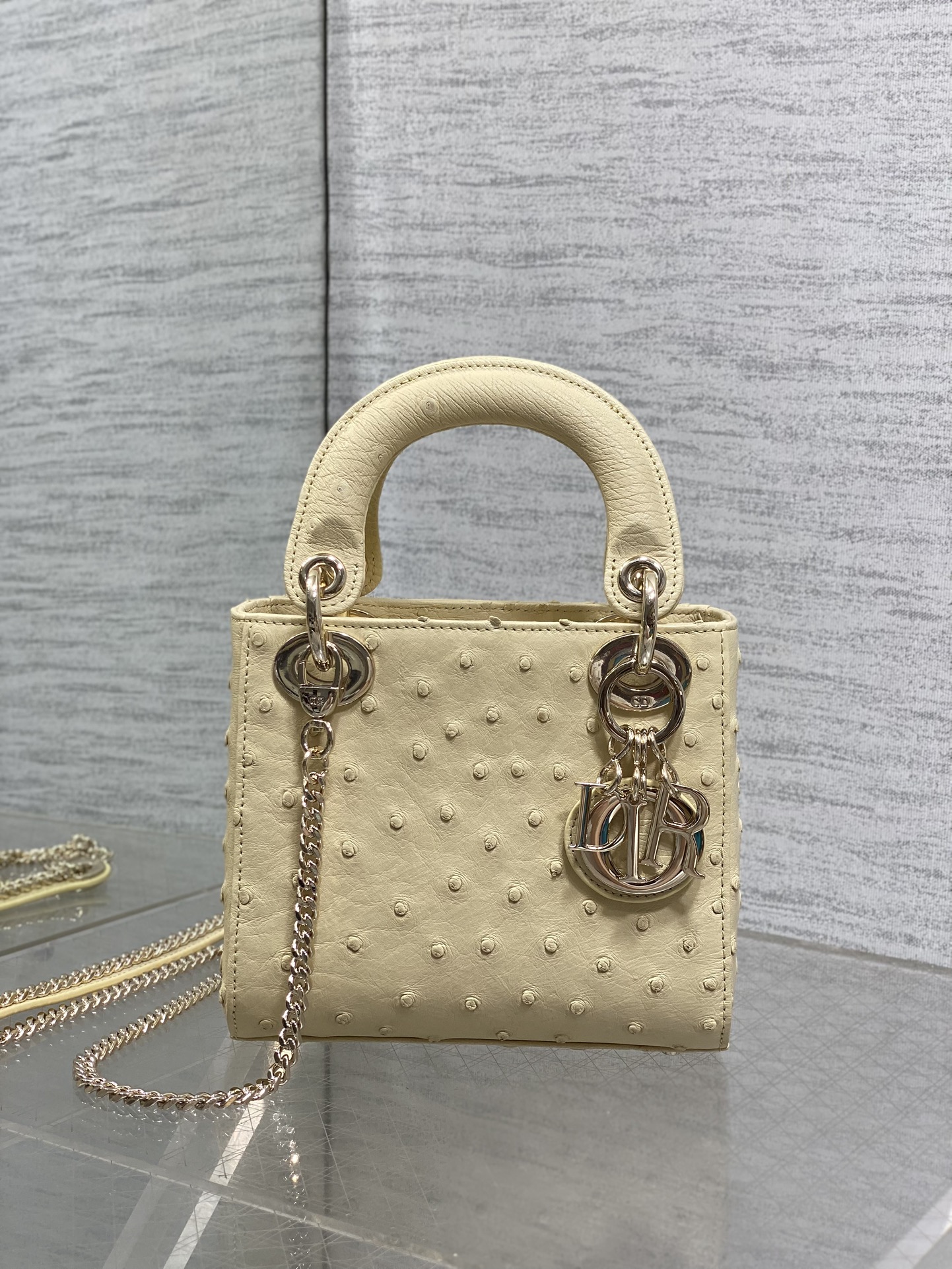 Dior Style Leather Bag Lookbook Reference image 2