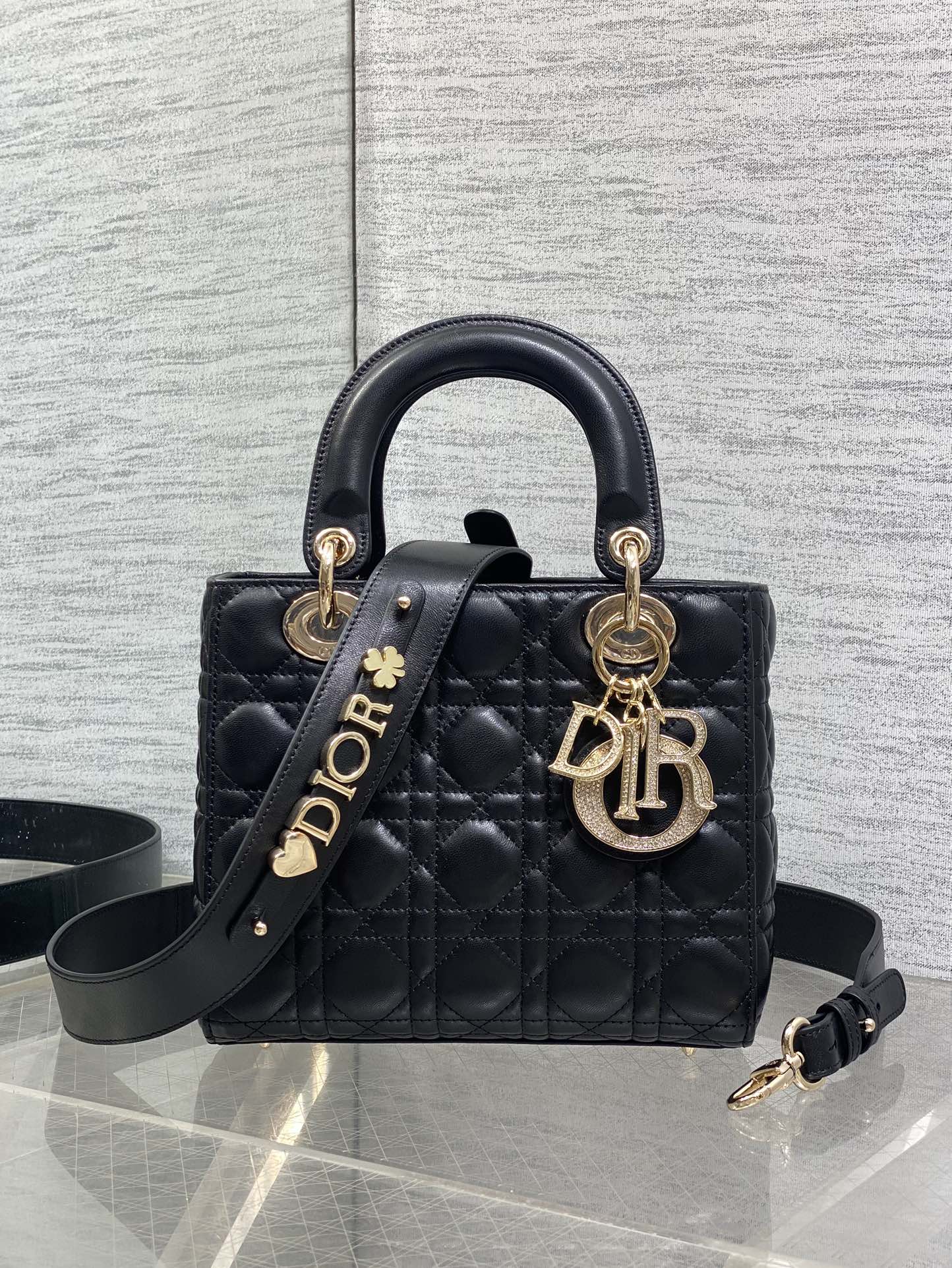 Dior Style Bag Lookbook Reference image 1