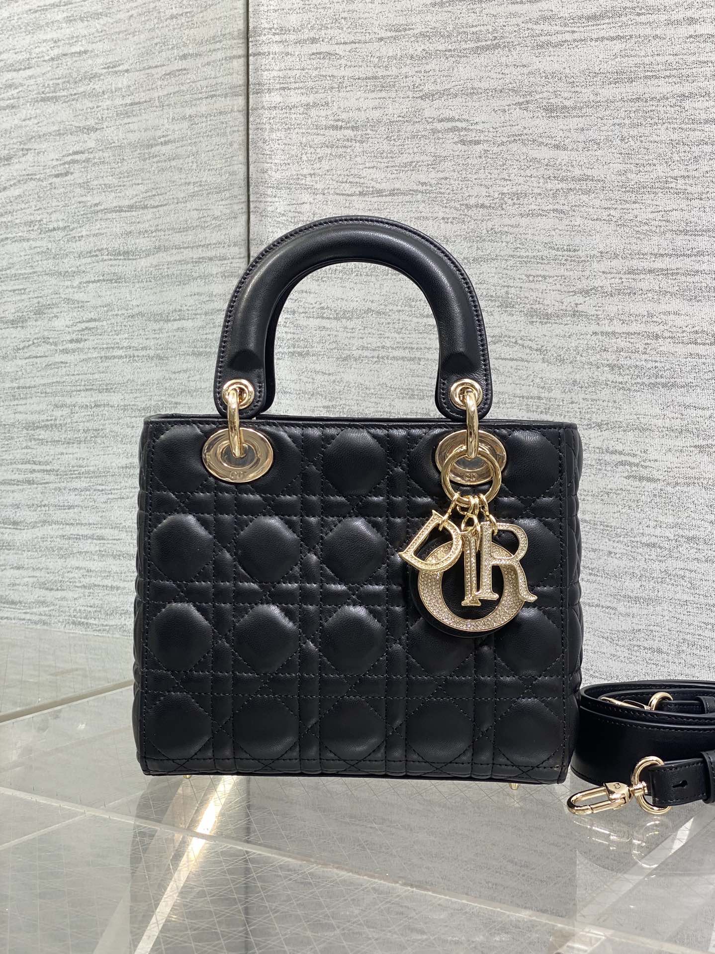 Dior Style Bag Lookbook Reference image 2