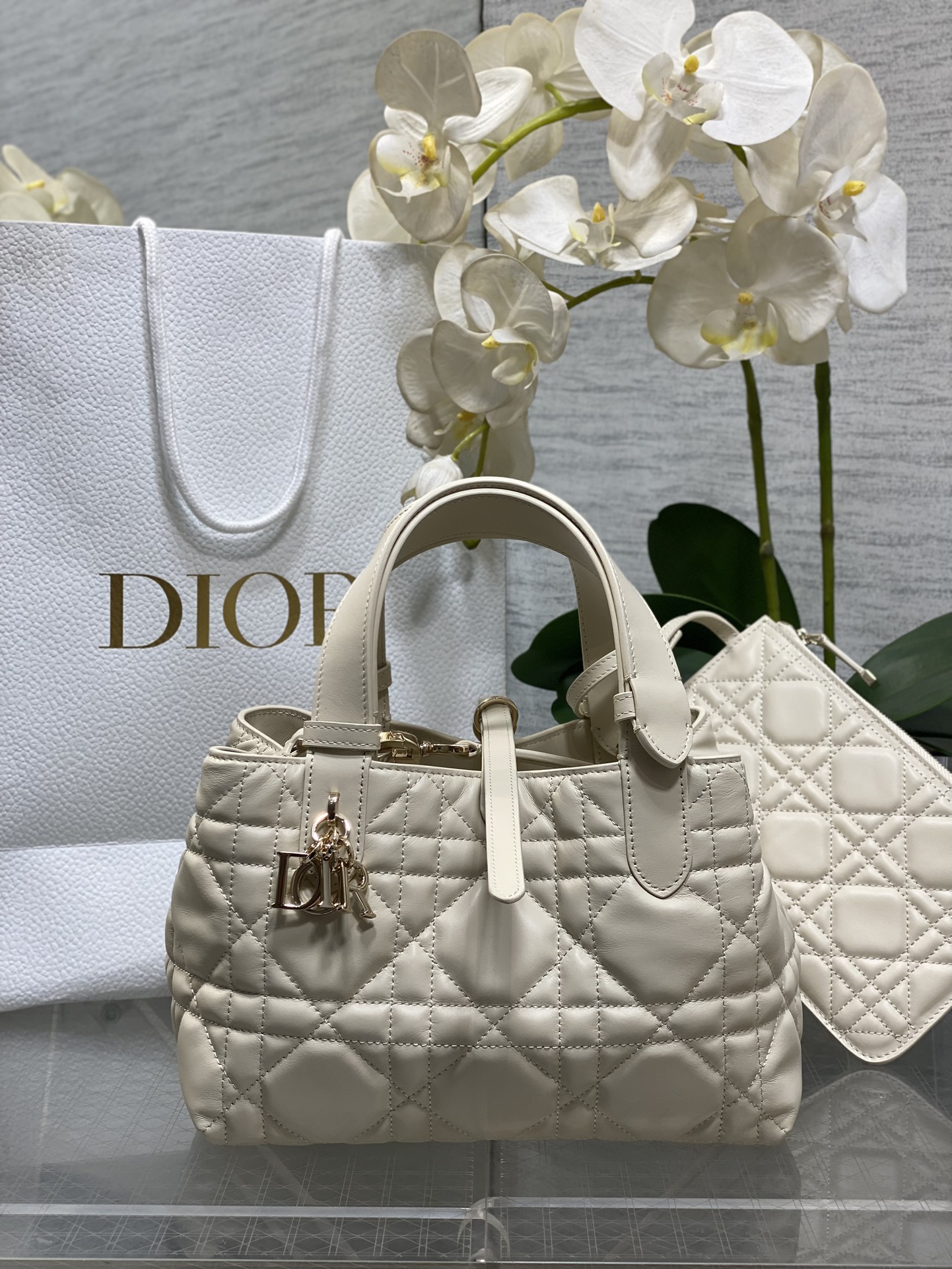 Dior Toujours Beige tote everyday