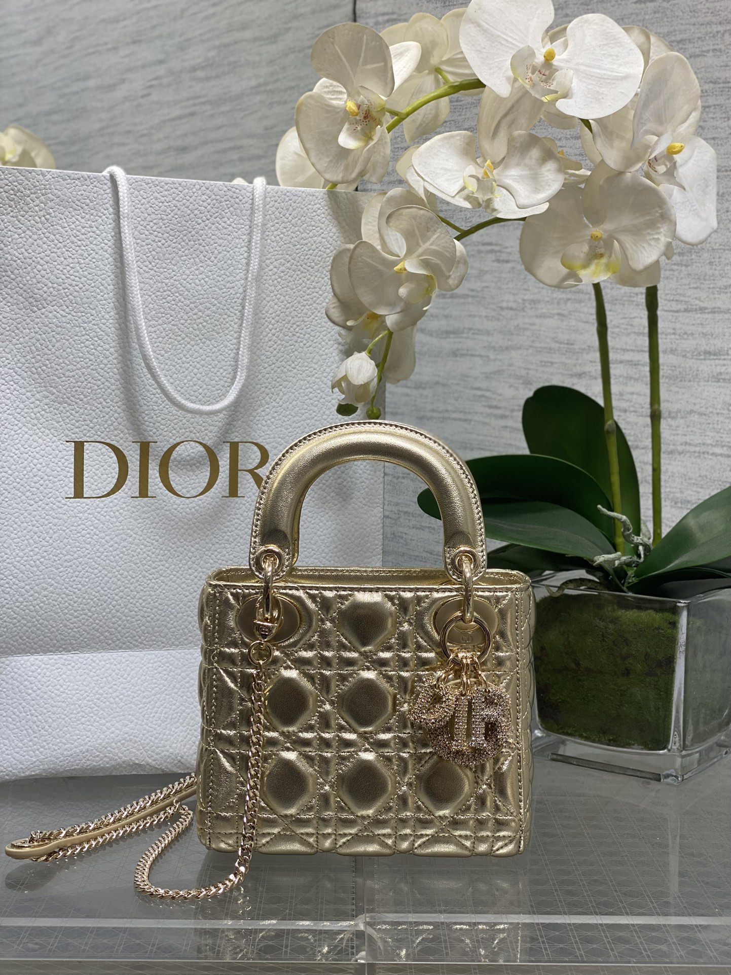 𝐋𝐚𝐝𝐲 última hebilla de cristal con tres rejillas.