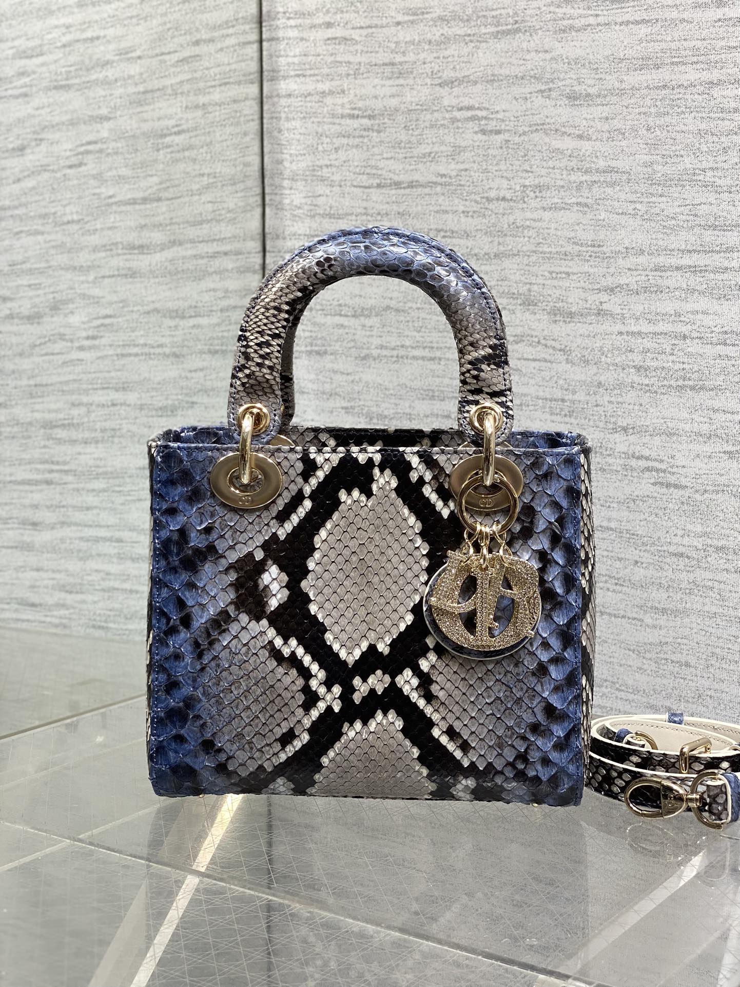 Dior Style Leather Bag Lookbook Reference image 2