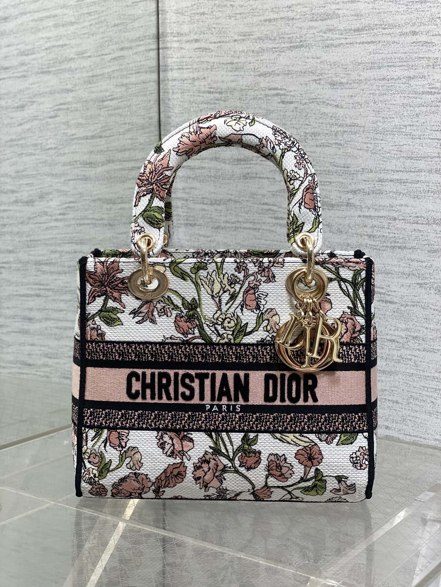 Dior Style Canvas Top Handle Bag Lookbook Reference image 2