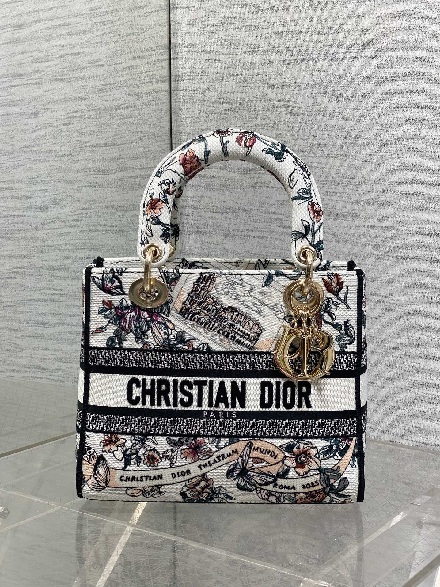 Dior Style White Canvas Top Handle Bag Lookbook Reference image 2