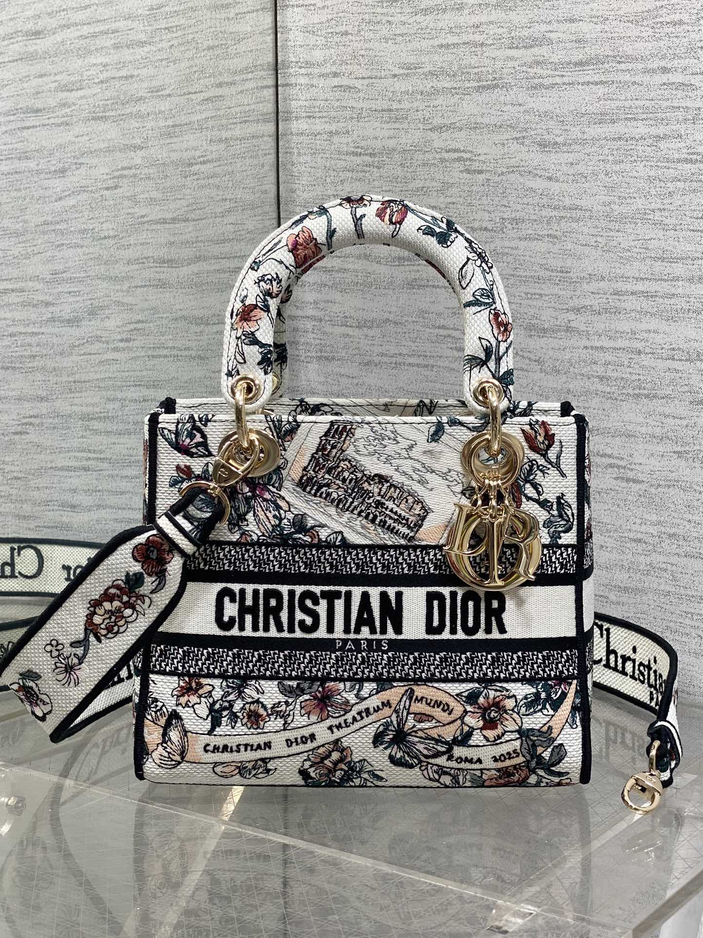 Dior Style White Canvas Top Handle Bag Lookbook Reference image 1