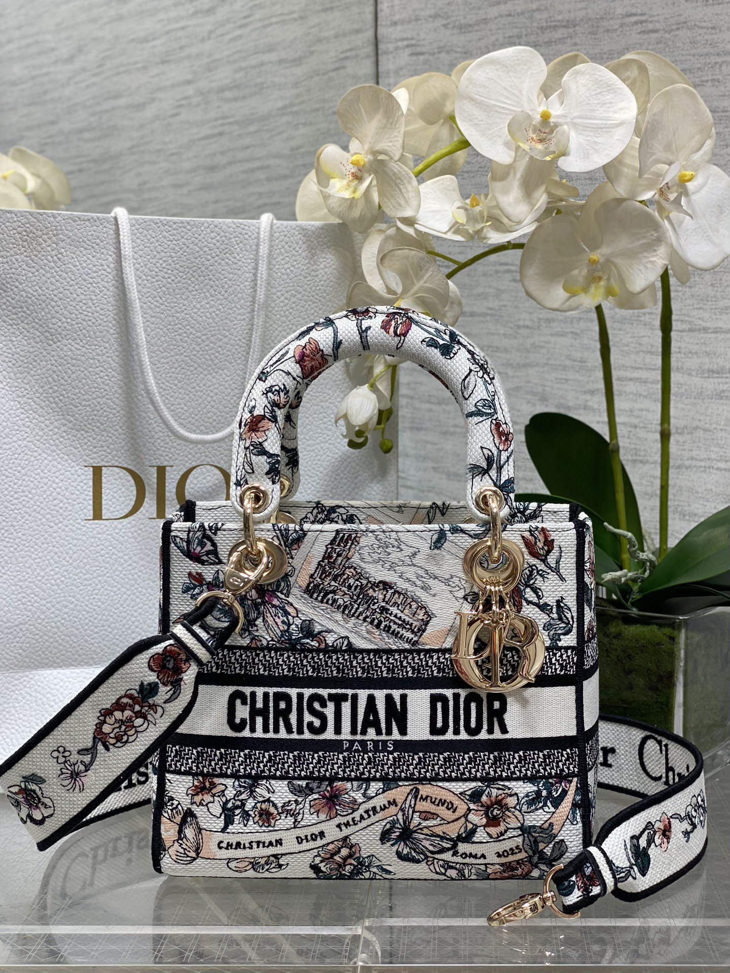𝐋𝐚𝐝𝐲Cinco temas romanos