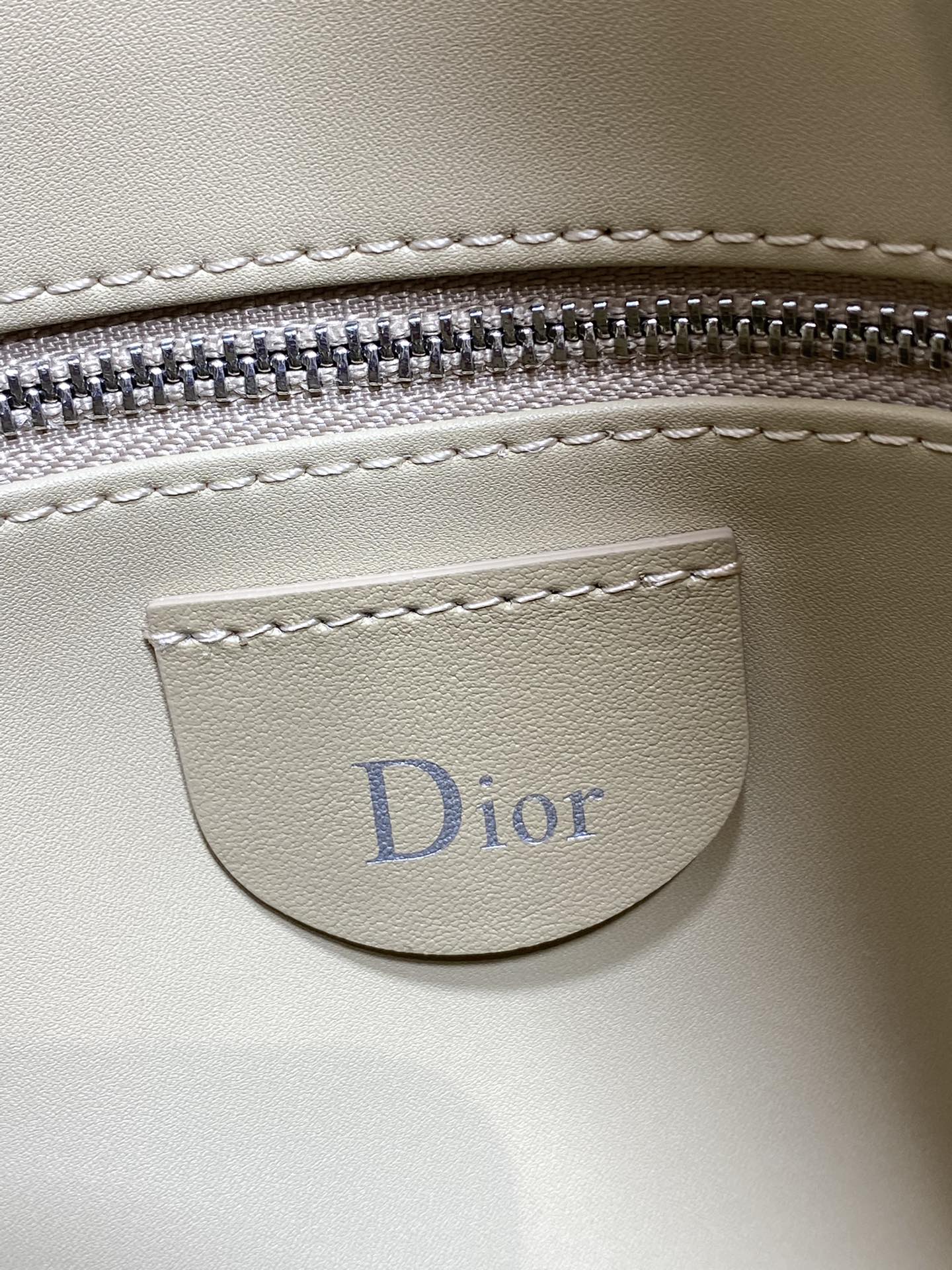 中号银扣现货‼️Dior2026春夏新款Chrustian这款Hobo包采用杏绒拼皮，触感柔软，春季氛围