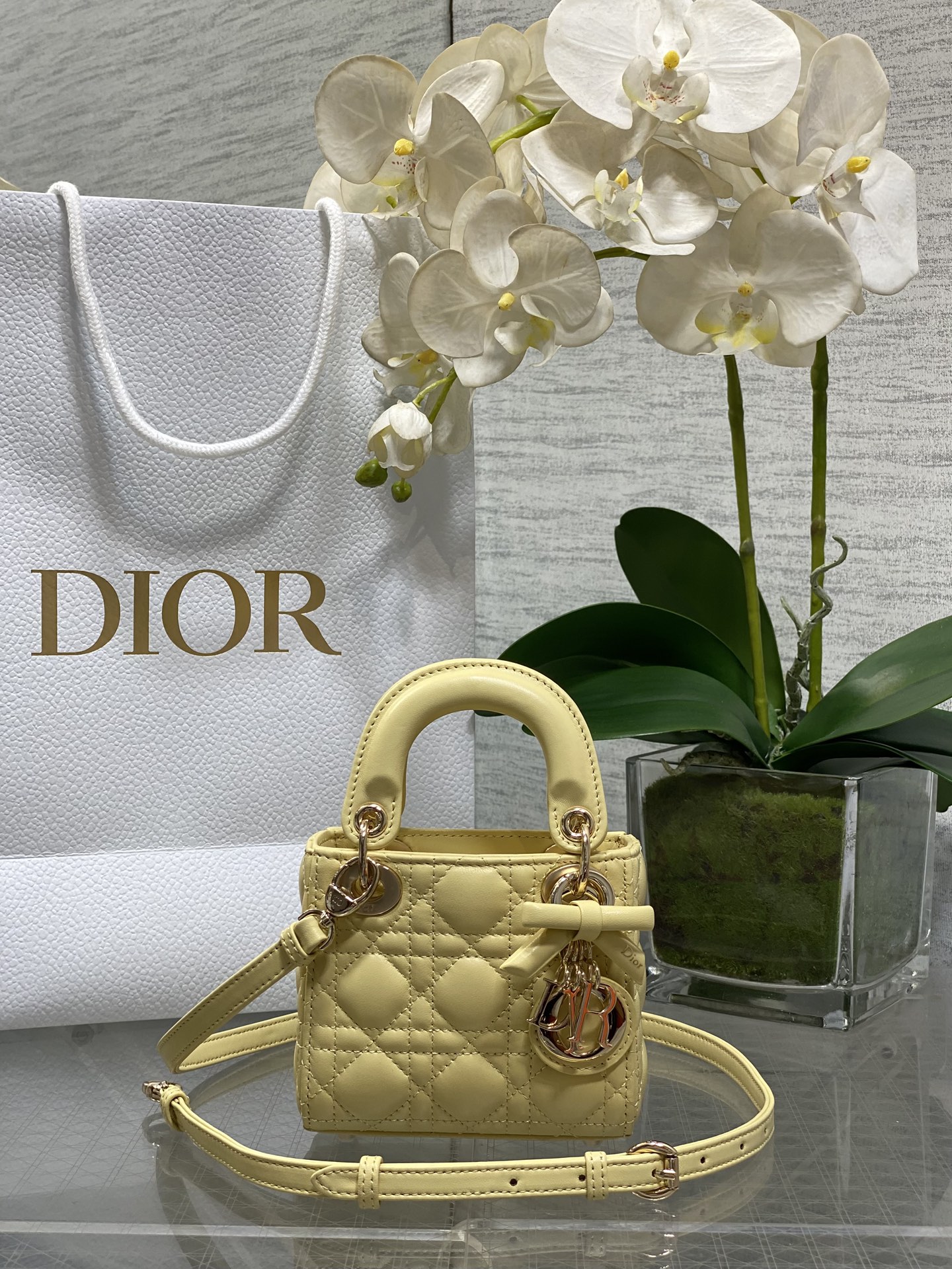 𝐋𝐚𝐝𝐲Super mini último arco🎀