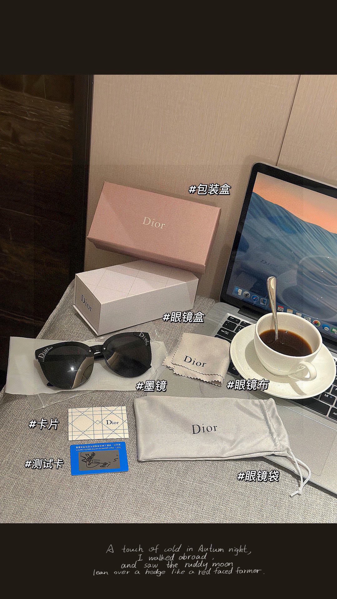 Dior Sunglasses 00709