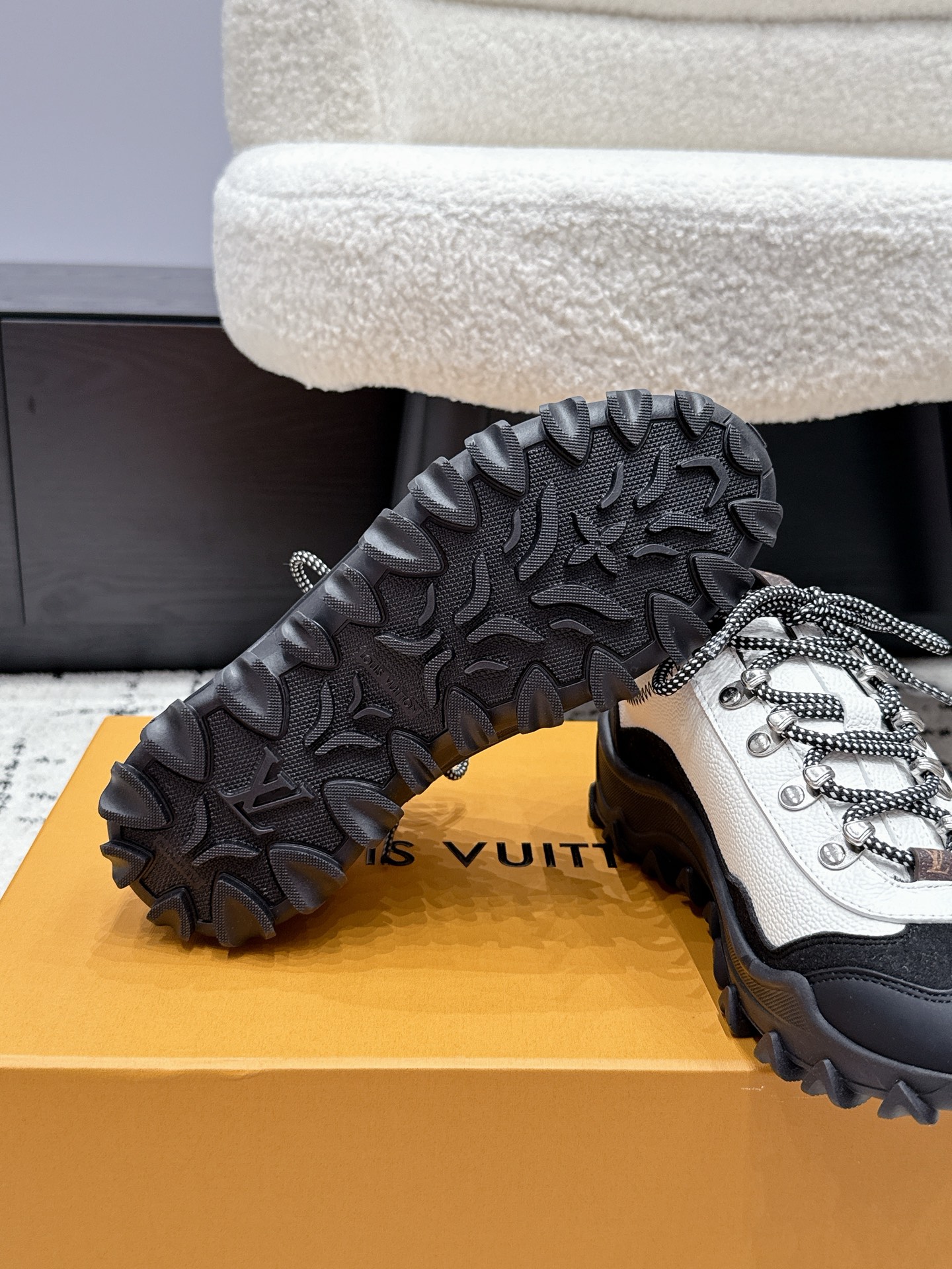 Louis Vuitton Sneakers
