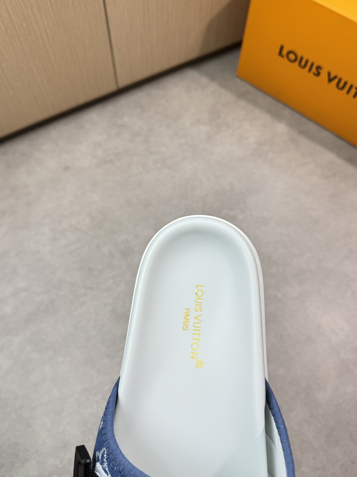 Louis Vuitton Sandal Blue Logo, Premium Quality, Comfortable and Stylish 8 i1746636620 3254 6