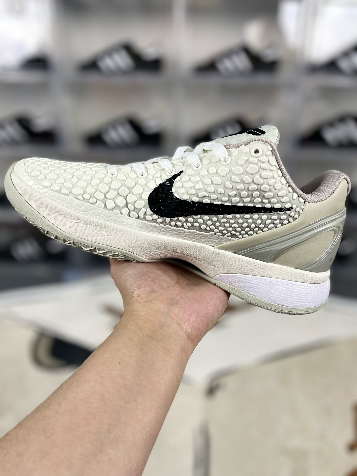 i1736197435800 568 0 1