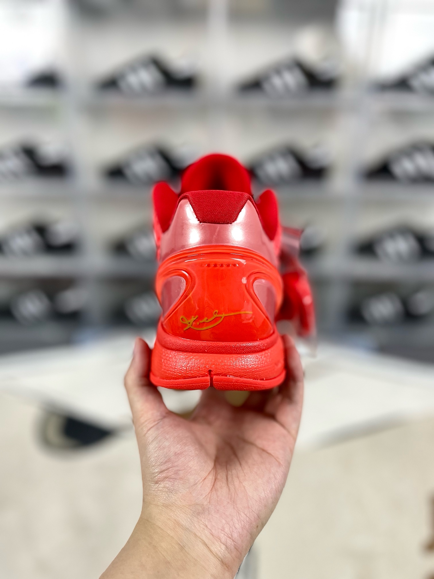 i1736197530332 7048 0 2