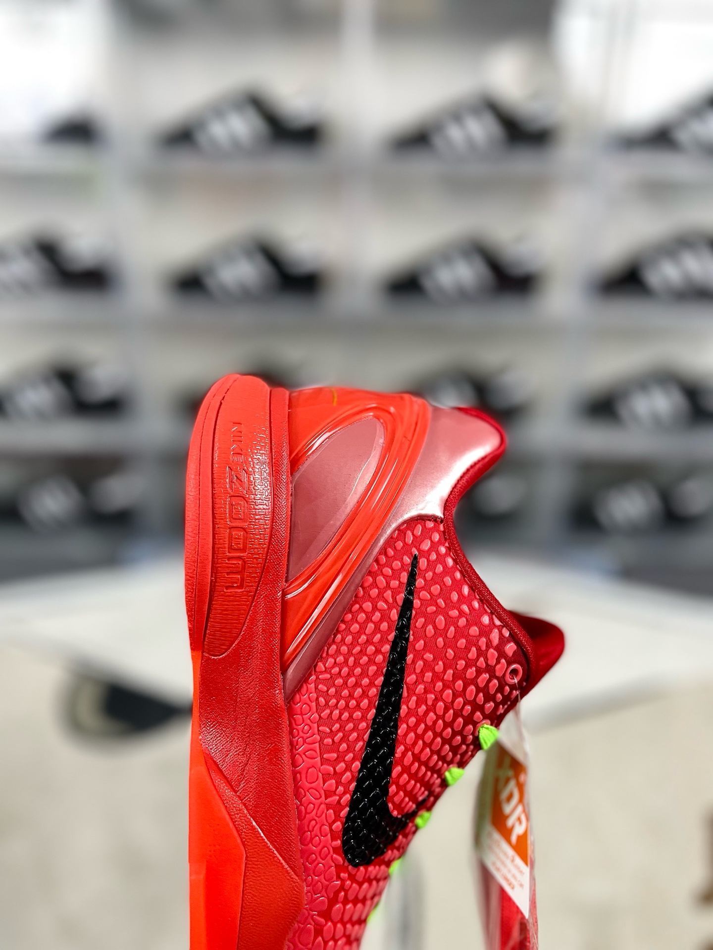 i1736197530599 9818 0 5