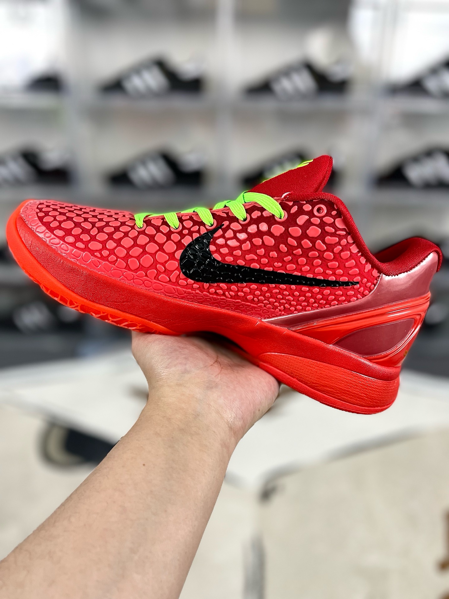 i1736197531758 7203 0 1