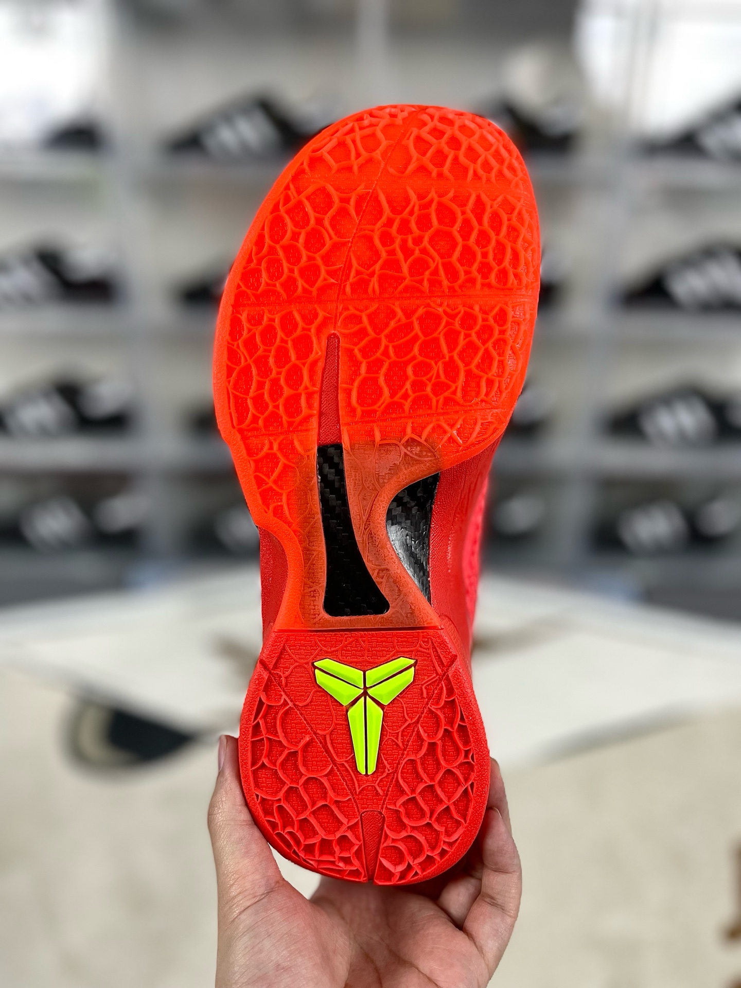 i1736197532061 6262 0 4