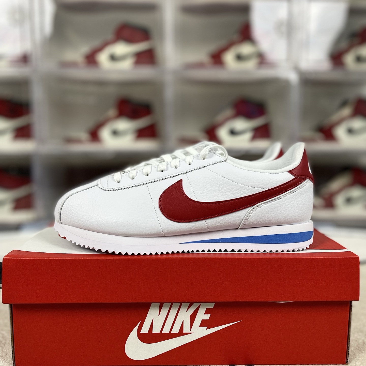 i1741986882193 5973 0 8