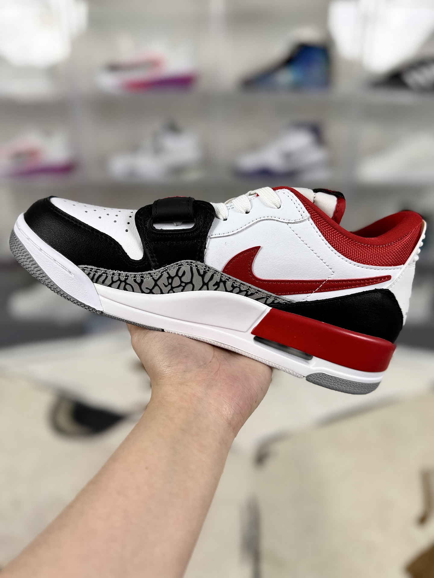 i1743537592696 8039 0 1