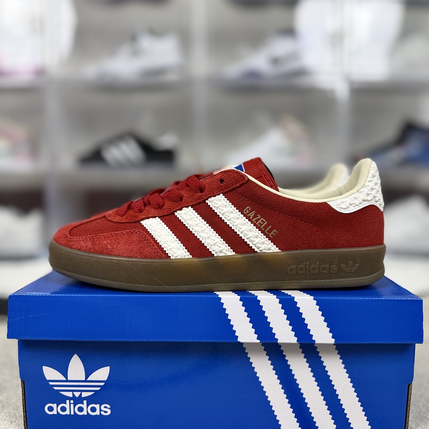 Adidas Originals Gazelle Indoor: Low-Top, Red & White Suede Sneakers 9 i1743537665226 698 0 8