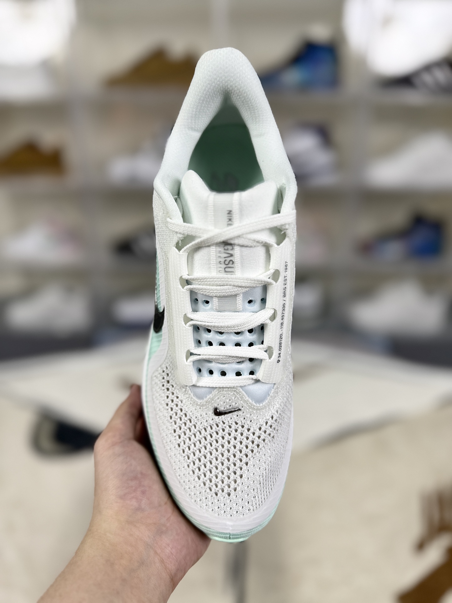 Nike Pegasus Premium White Mint Green Running Shoes HQ2593-103 5 i1759343783850 7338 0 3