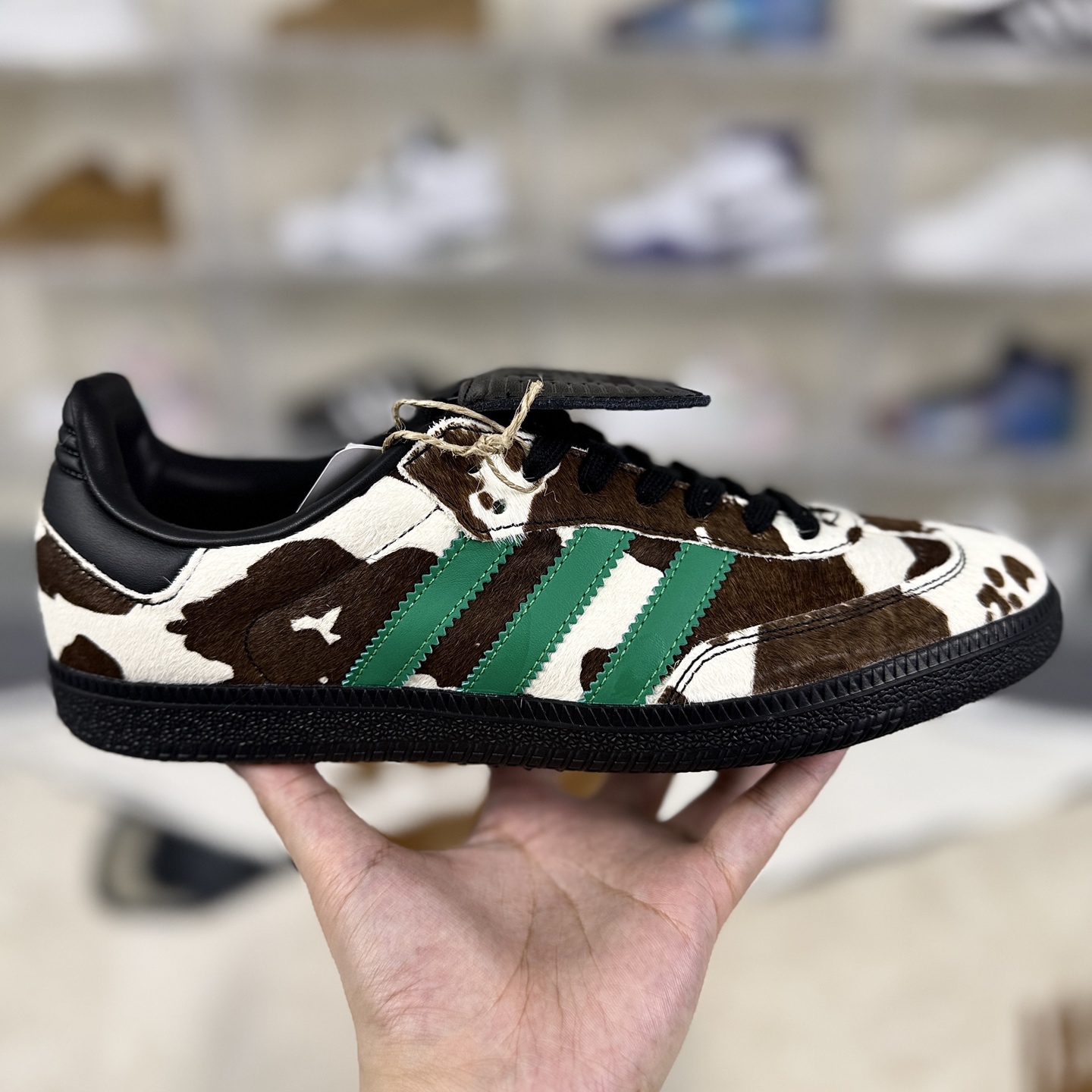 i1760300415659 2663 0 5