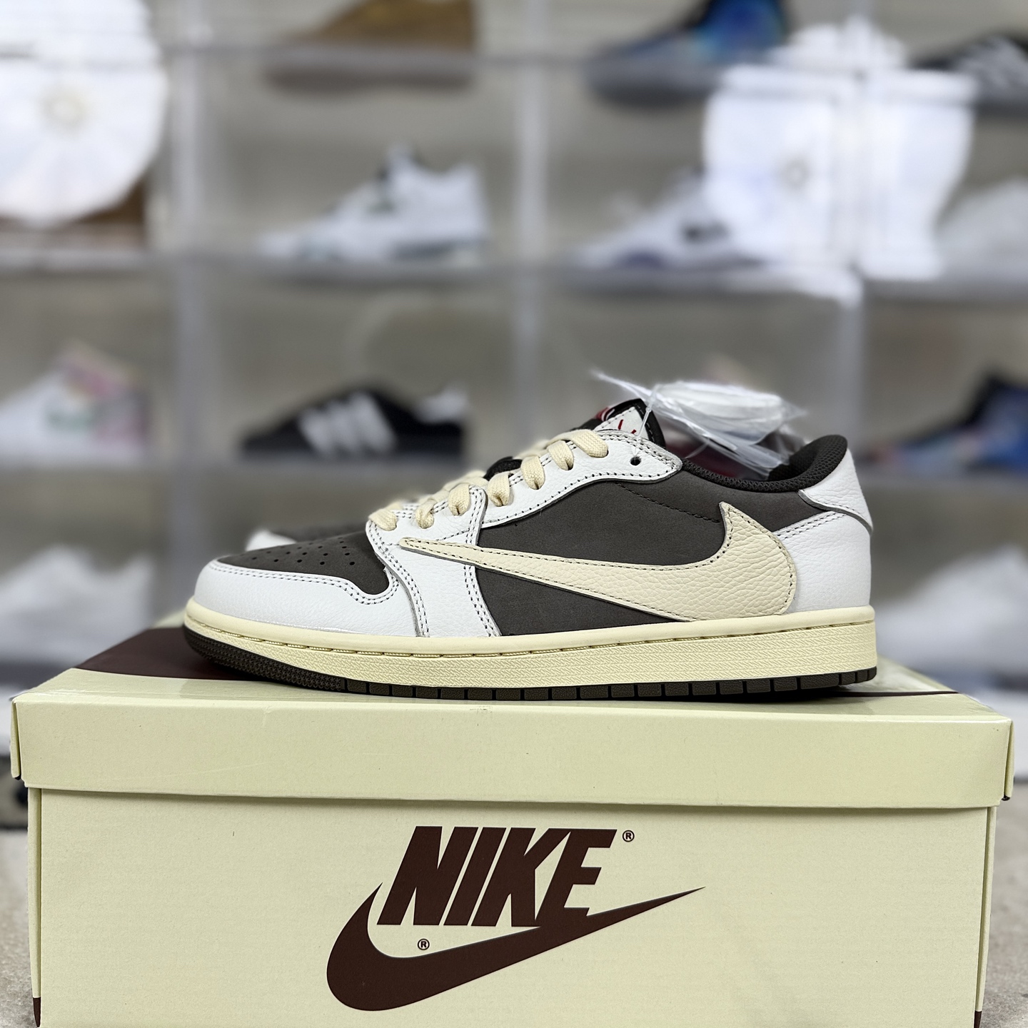 i1760390326542 4135 0 8