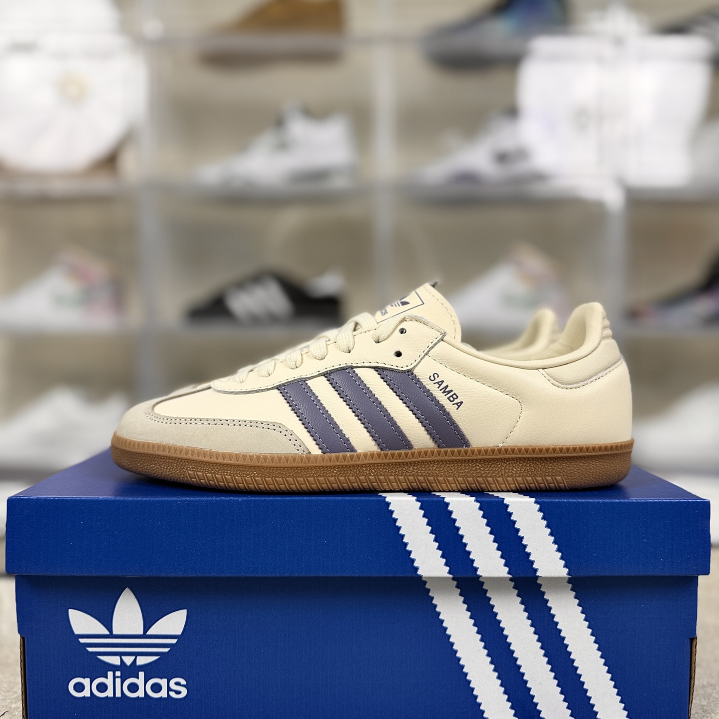 i1760985504074 3627 0 8