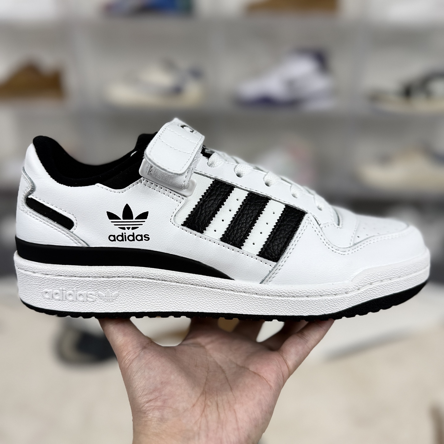 💰200   
adidas originals FORUM 84 舒适休闲薄底 耐磨 低帮 板鞋 男女款 白黑
▪️尺码：36-45（36 36⅔ 37⅓ 38 38⅔ 39⅓ 40 40⅔ 41⅓ 42 42⅔ 43⅓ 44 44⅔ 45⅓）
▪️货号：FY7757
▪️诞生于1984年，由著名球鞋设计师JACQUES CHASSAING操刀，回顾八十年代的篮球赛场，ADIDAS 在所有运动品牌中势头迅猛。如今看来，经典的鞋面拼接和绑带设计，FORUM 84绝对是篮球鞋向科技方向发展的标杆之一。它不仅主导了篮球赛场，还改变了比赛的方式。同时FORUM 84 也是最早一批推出高低帮版本的篮球鞋，而这种概念也影响至今。随着时代的发展，FORUM 84 渐渐淡出了篮球赛场走向了街头。由于其功能属性与出众的外观，FORUM 84 受到了滑板运动员们的青睐，因此许多滑手选择了上脚这双球鞋。FORUM 84 也轻易地与 HIPHOP 文化挂钩，传奇组合 RUN D.M.C便非常喜欢这款球鞋，这也为如今的街头潮流打下了基础。如今复古做旧风格正劲之时，ADIDAS ORIGINALSFORUM OG 84 再次成为了人们追捧的对象，最0G的鞋型和中高帮的绑带设计，再加上泛黄氧化的中底都让其散发出了与众不同的美感。