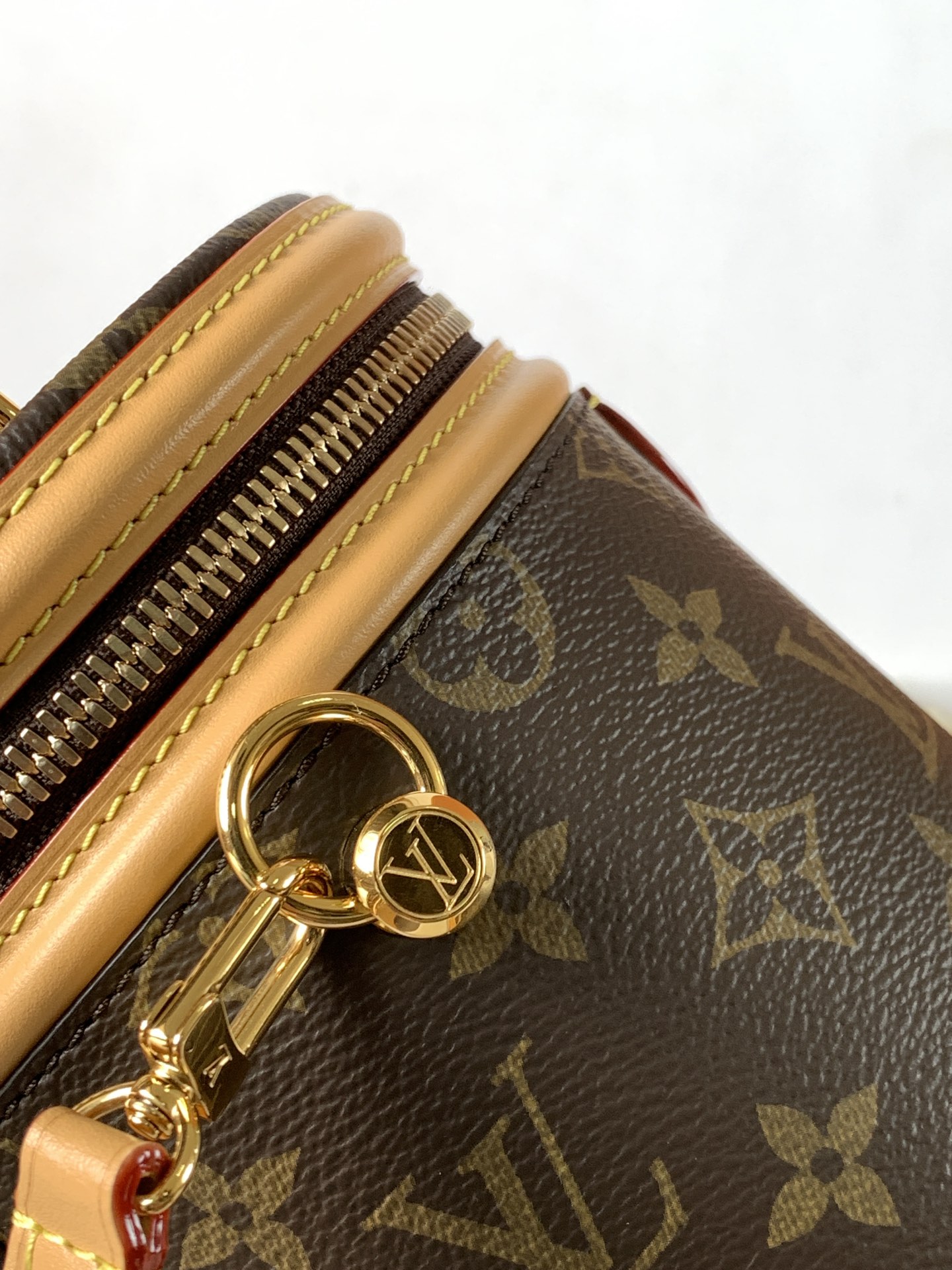 Louis Vuitton Nano Cannes 手袋