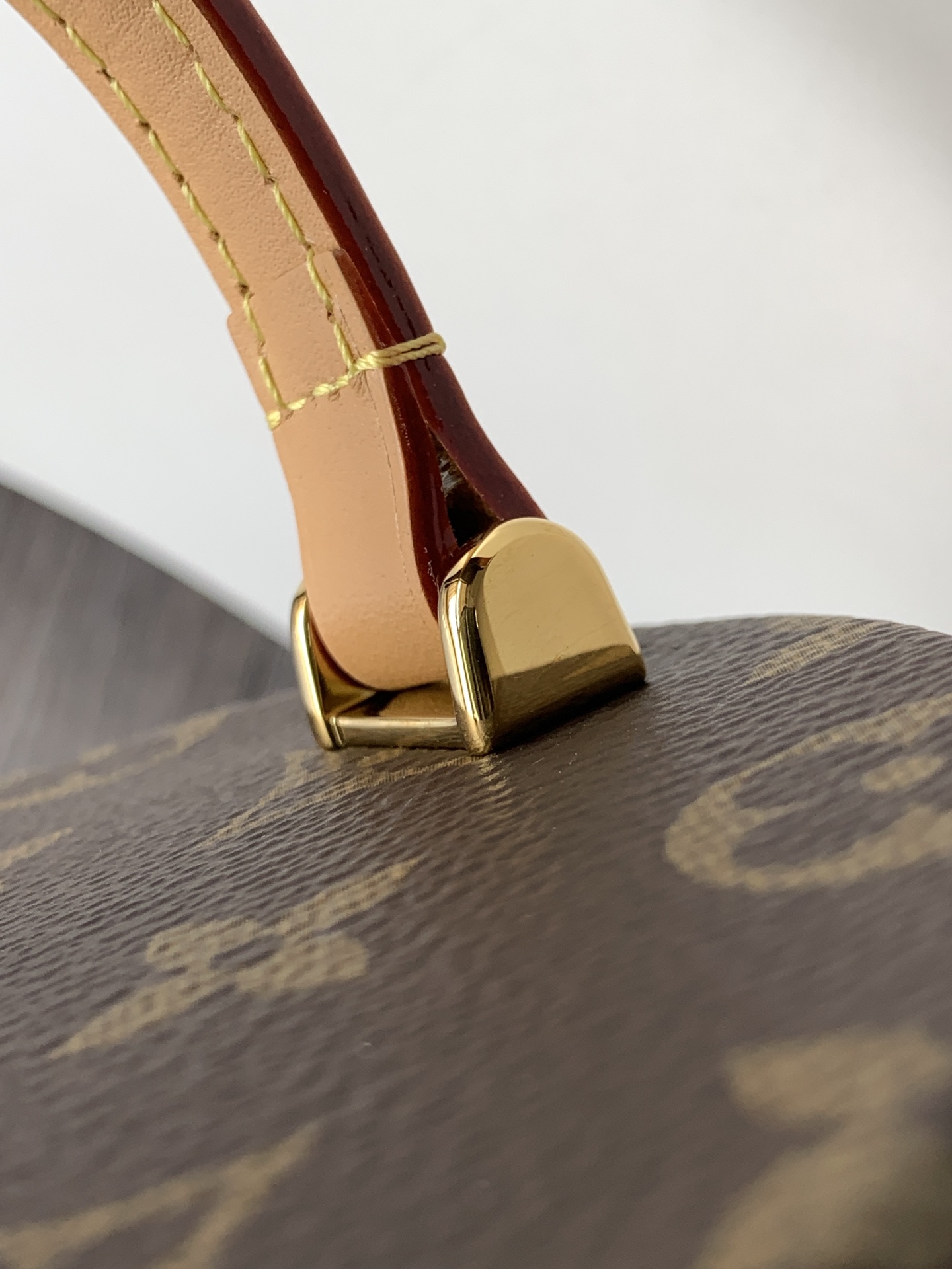Louis Vuitton Nano Cannes 手袋