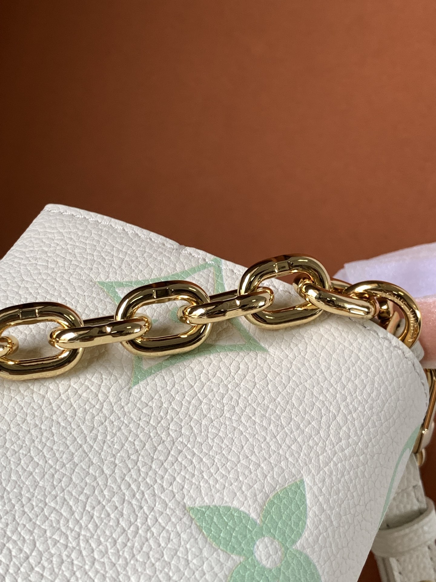 Louis Vuitton Favorite 手袋